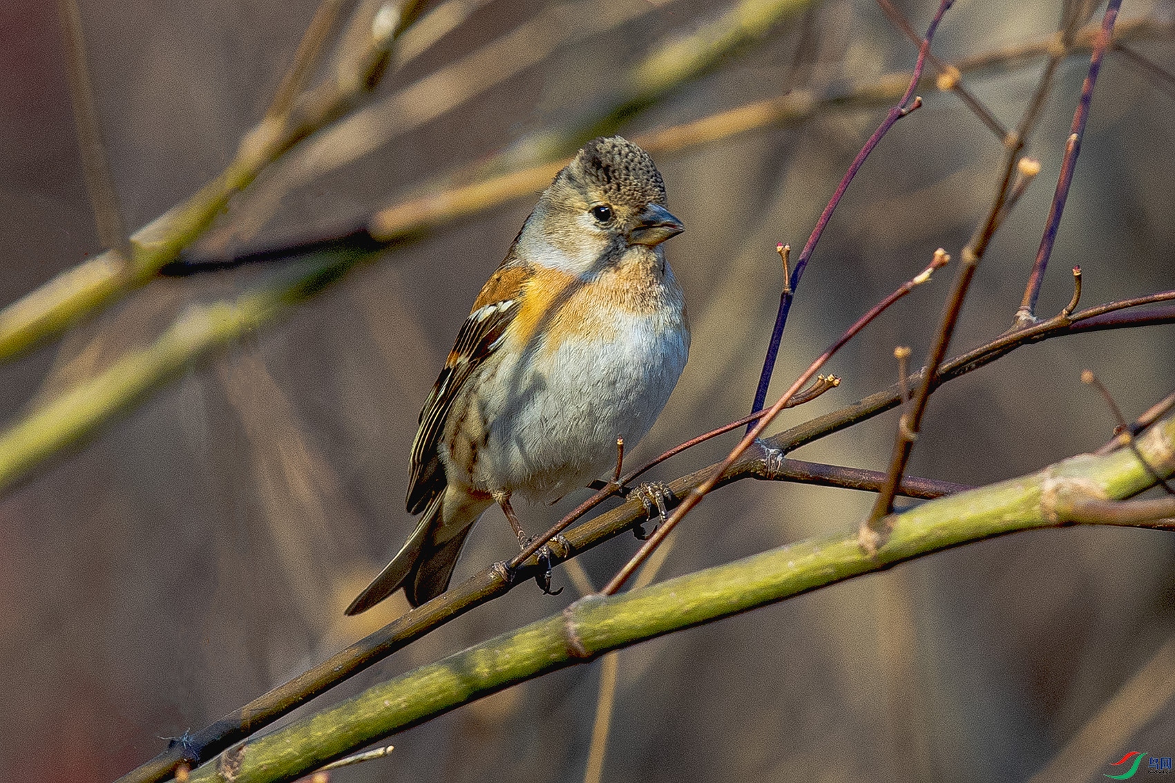 _90I2345 ����.jpg