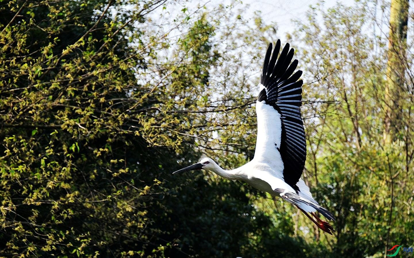 560 (11)_����_����.jpg