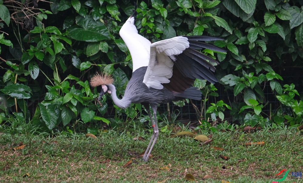 DSCF5746.1.jpg