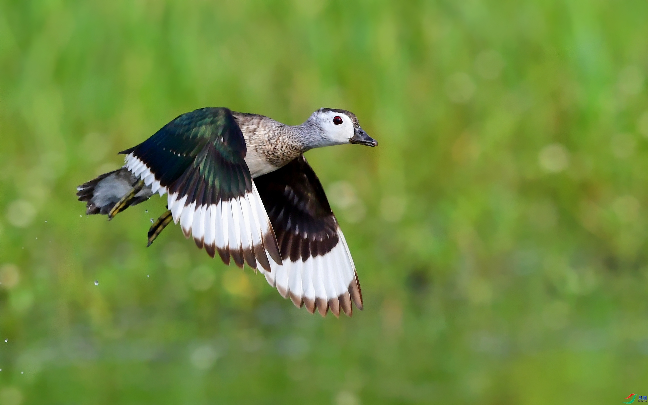 9.16��ͷ��69��ʦ��Ʒ   ��� ��ף���ٻ���Ӱʦ������.jpg