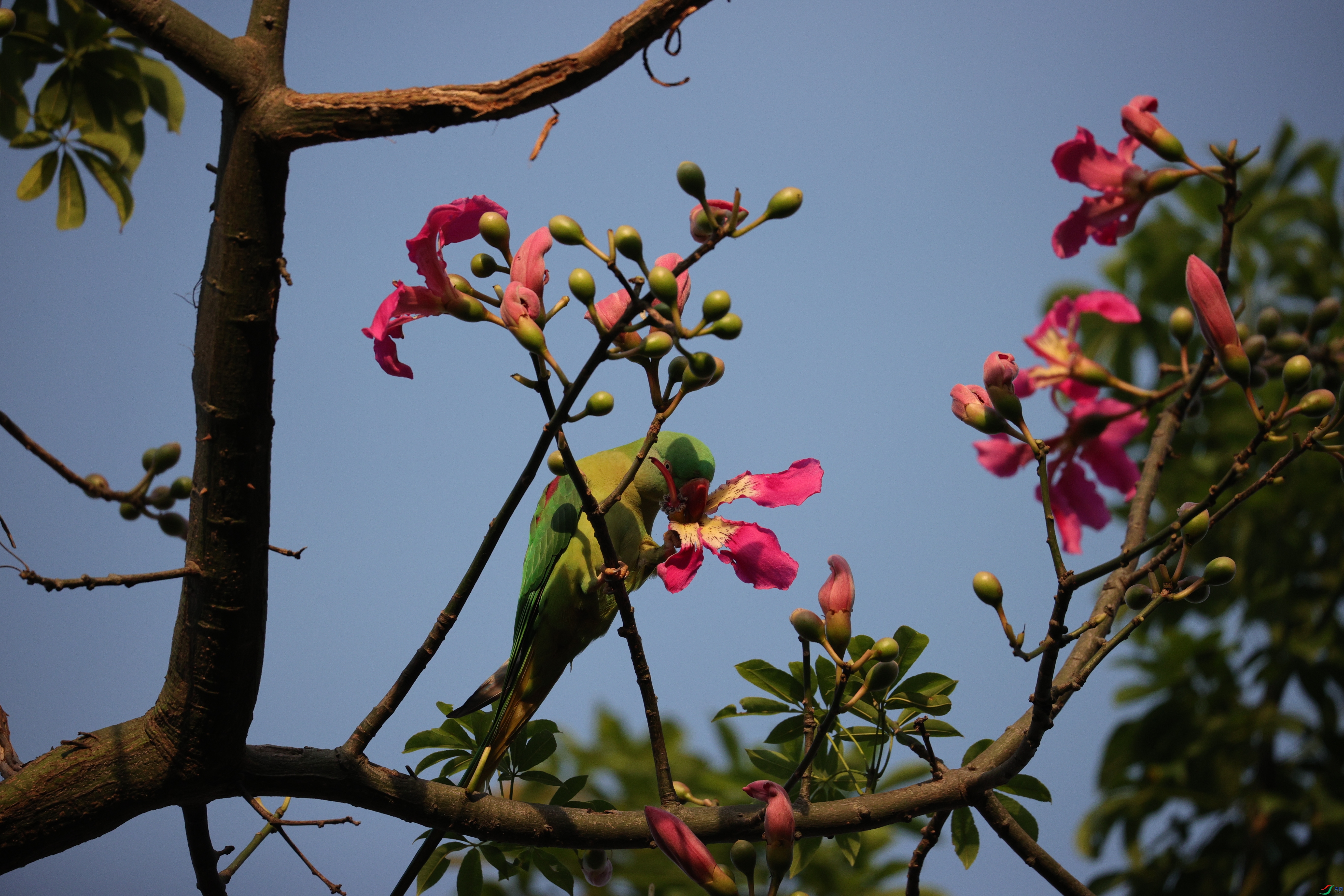 6014��ש����