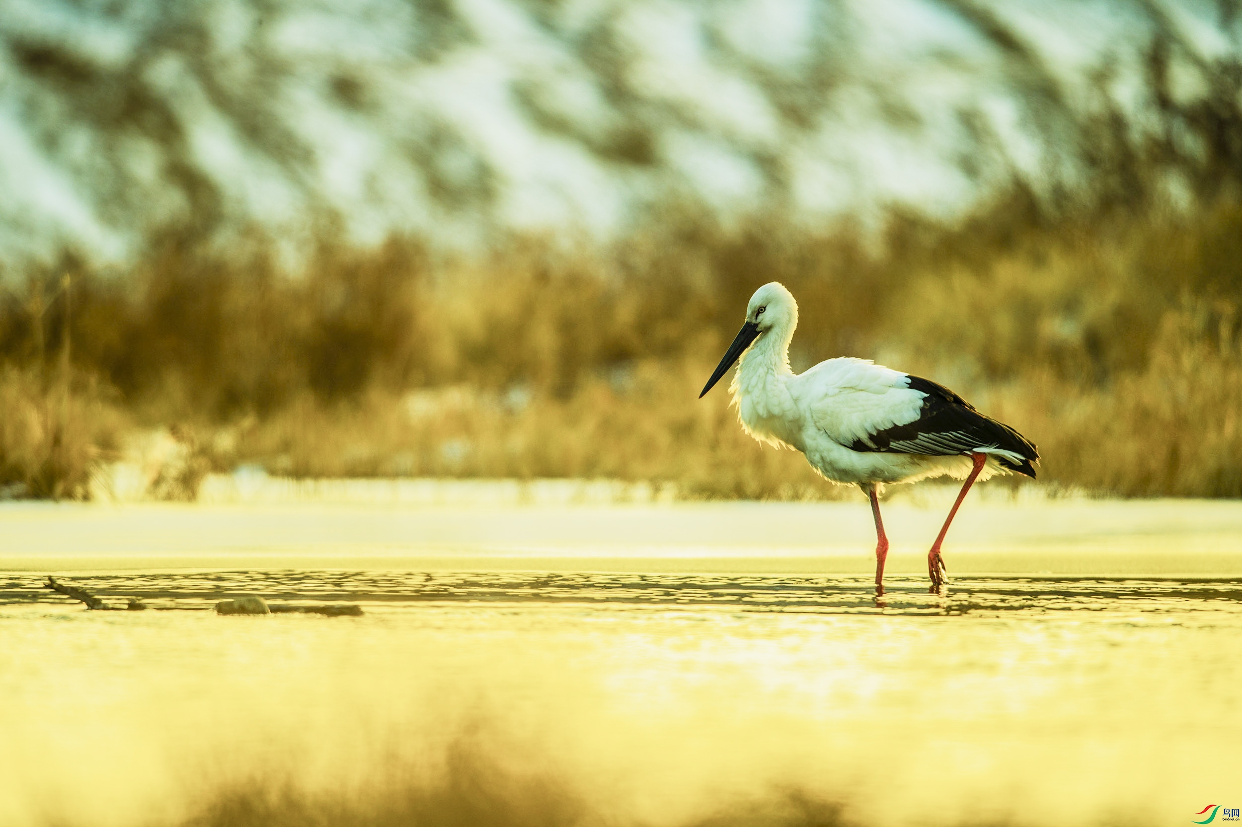 _DSC0507.jpg
