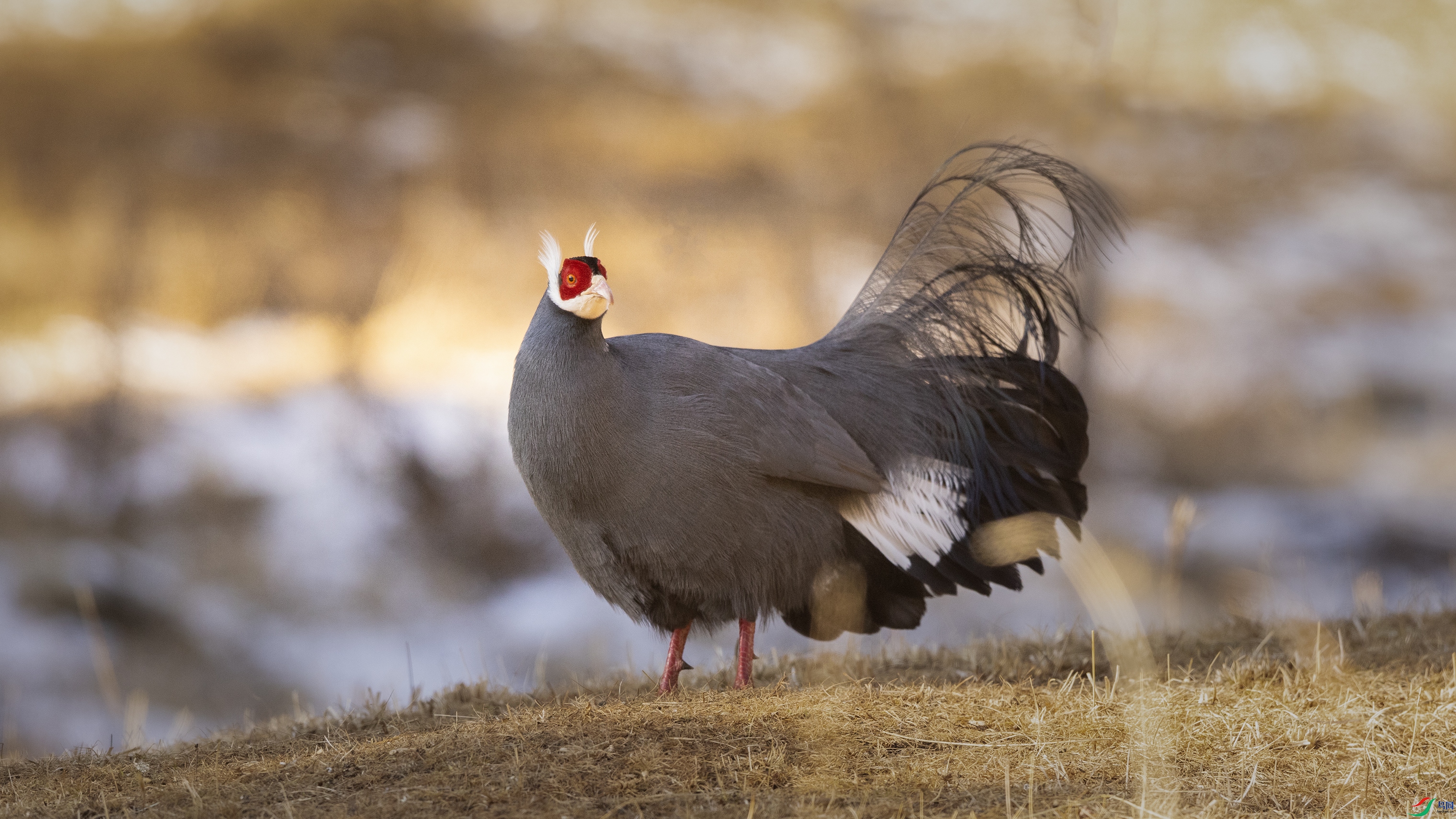 7X5A7095 ����4444.jpg