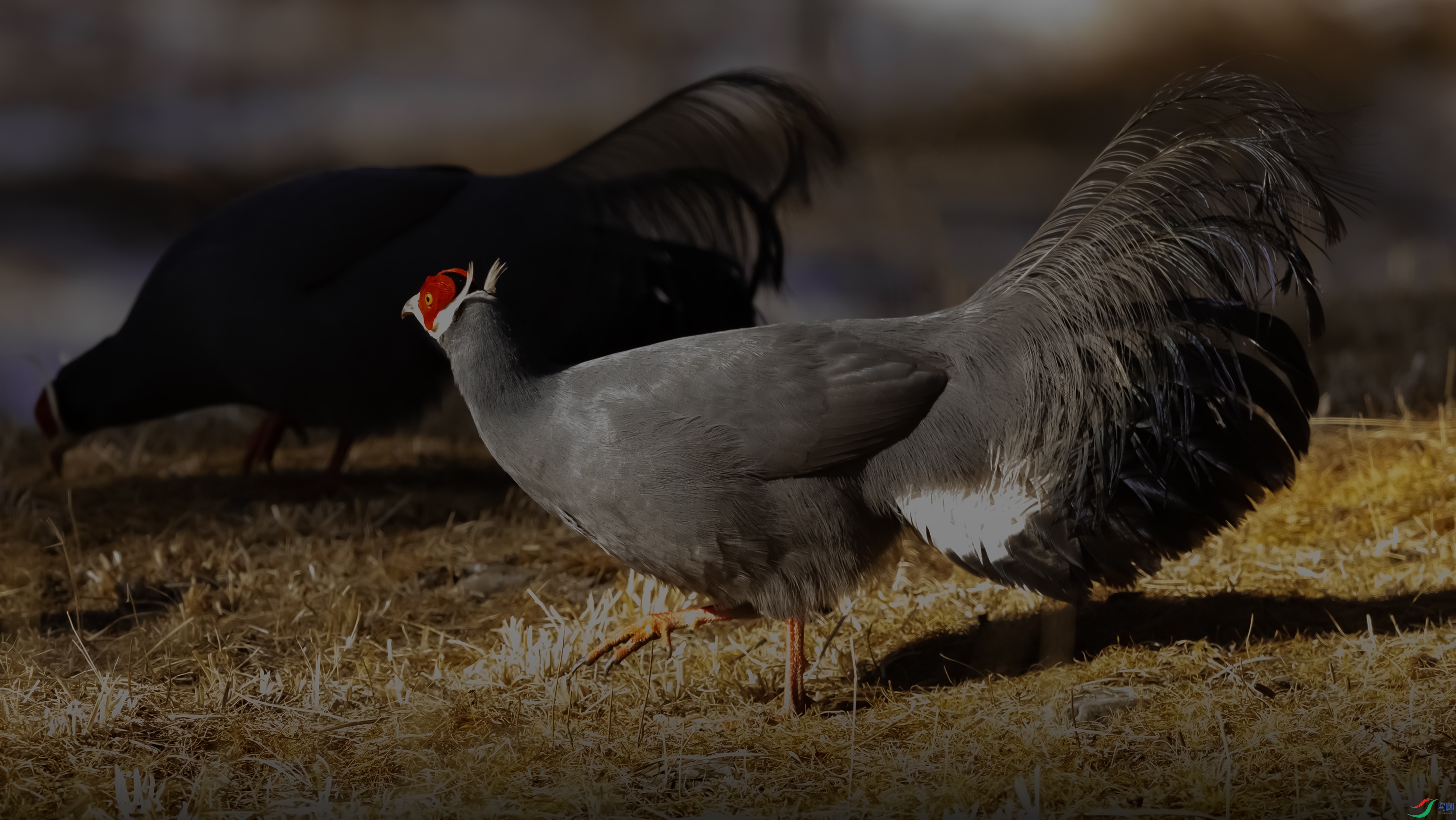 7X5A7129 ����444.jpg