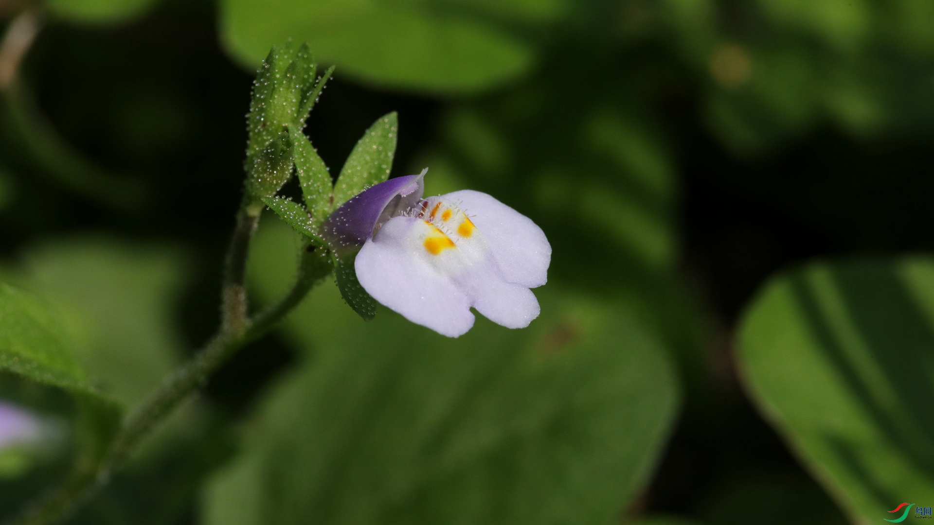 9O2A8442_����.jpg
