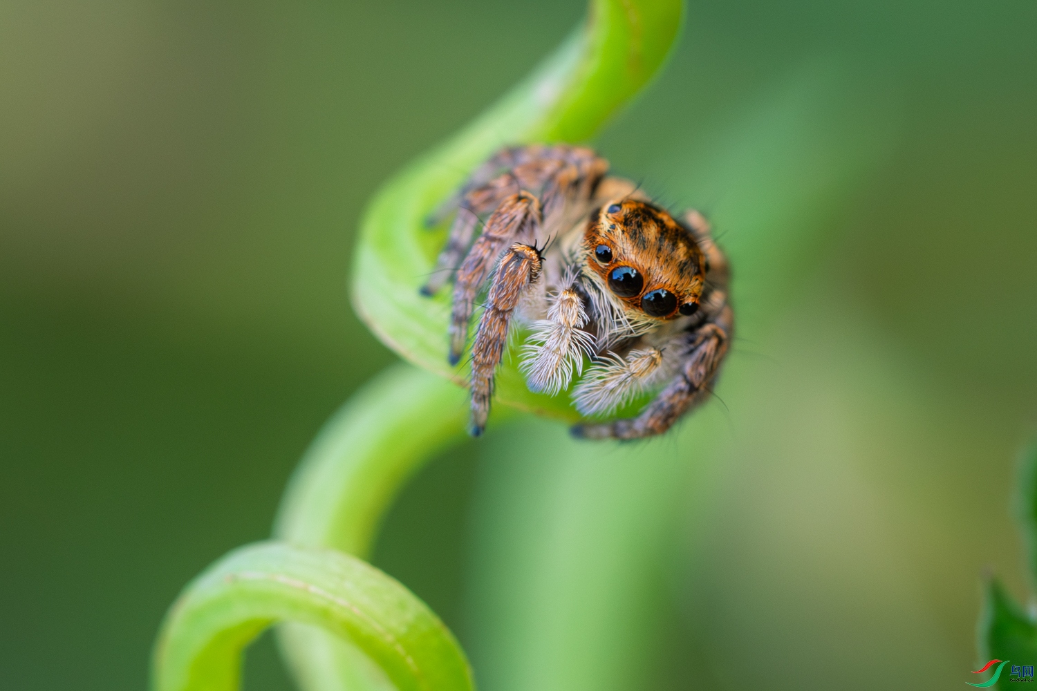 DSC_6349_1.JPG