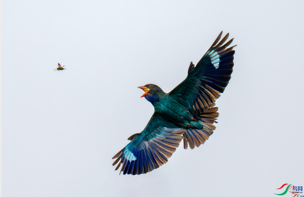 �������ѡ����@���ٻ���Ӱʦ�������{���� 17.png