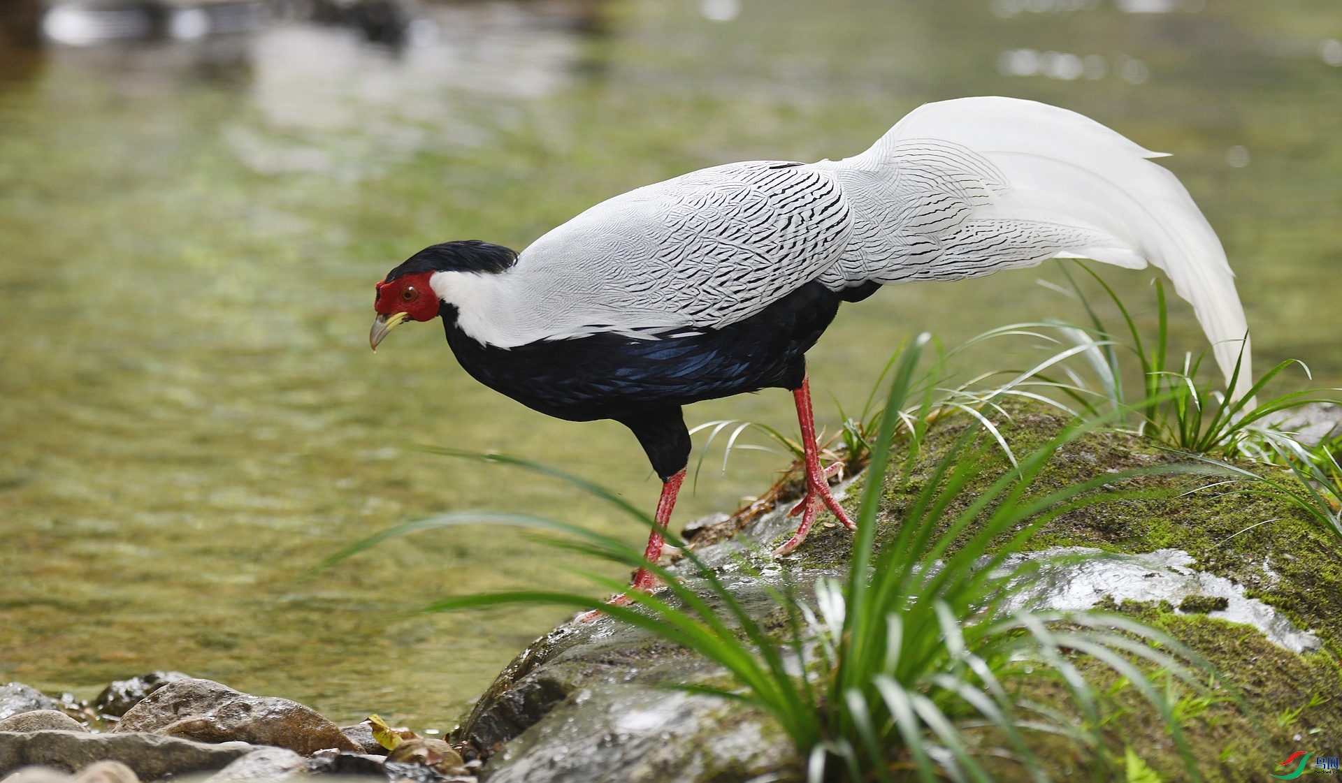 DSC_7339.jpg