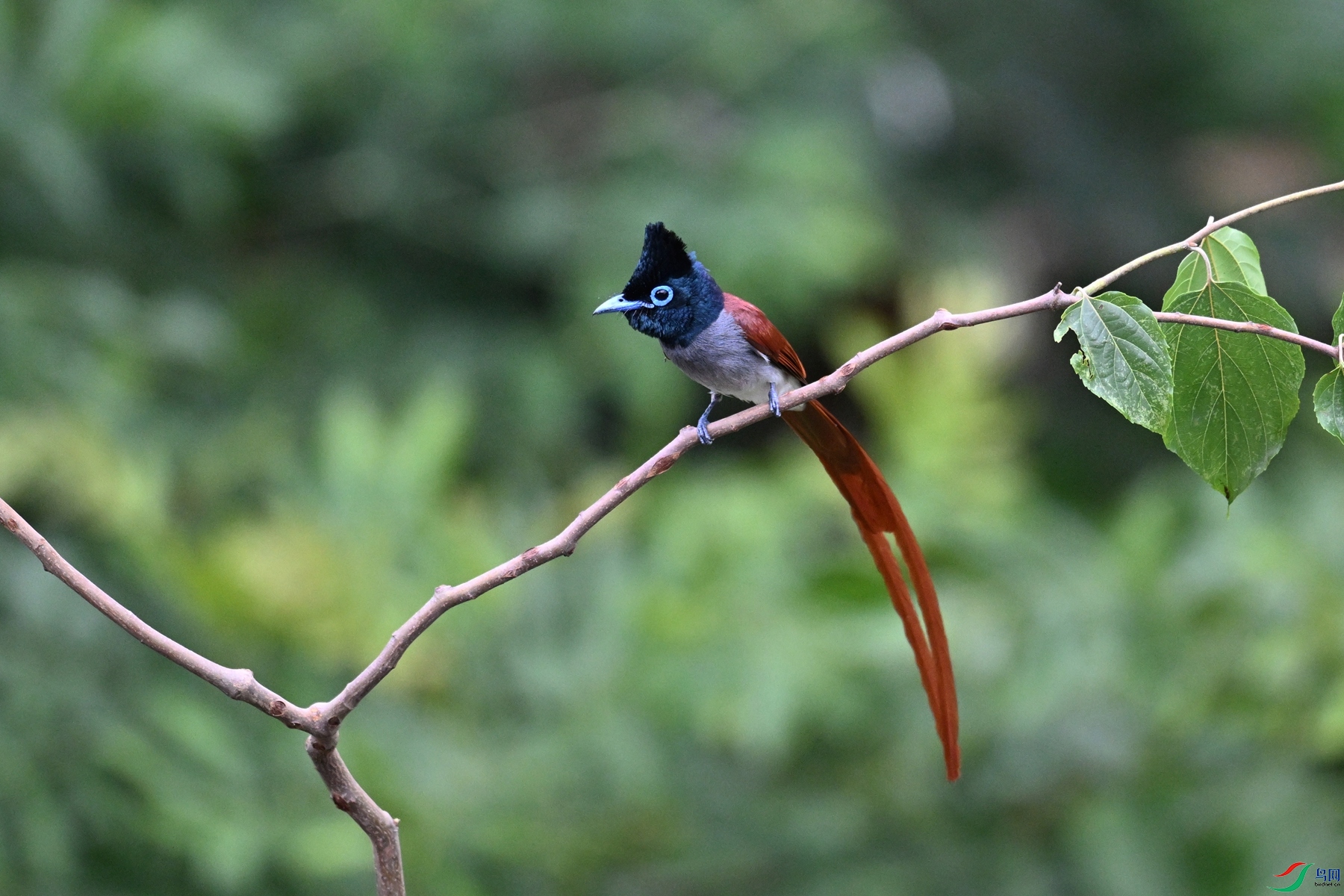 DSC_5838.JPG