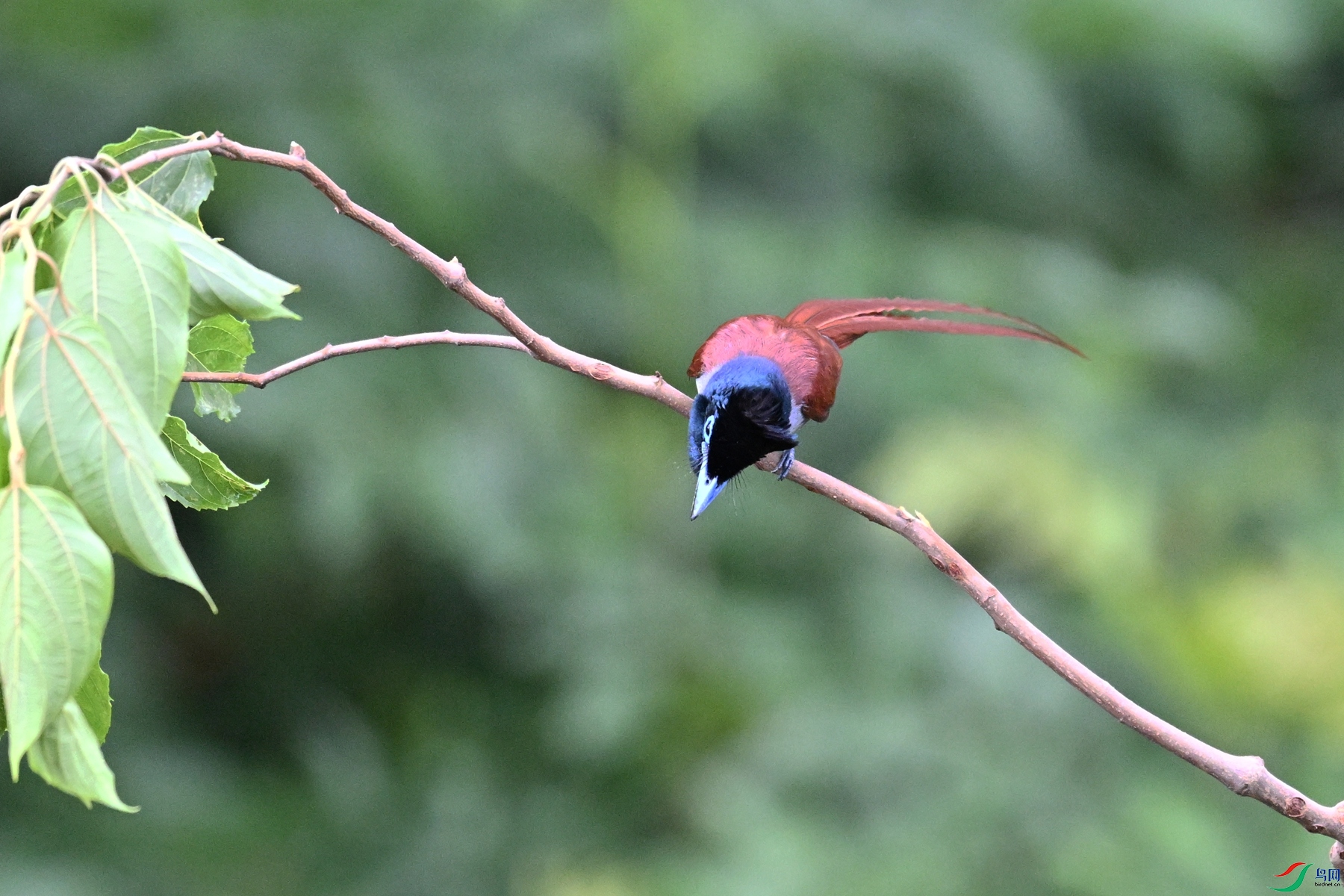 DSC_5813.JPG