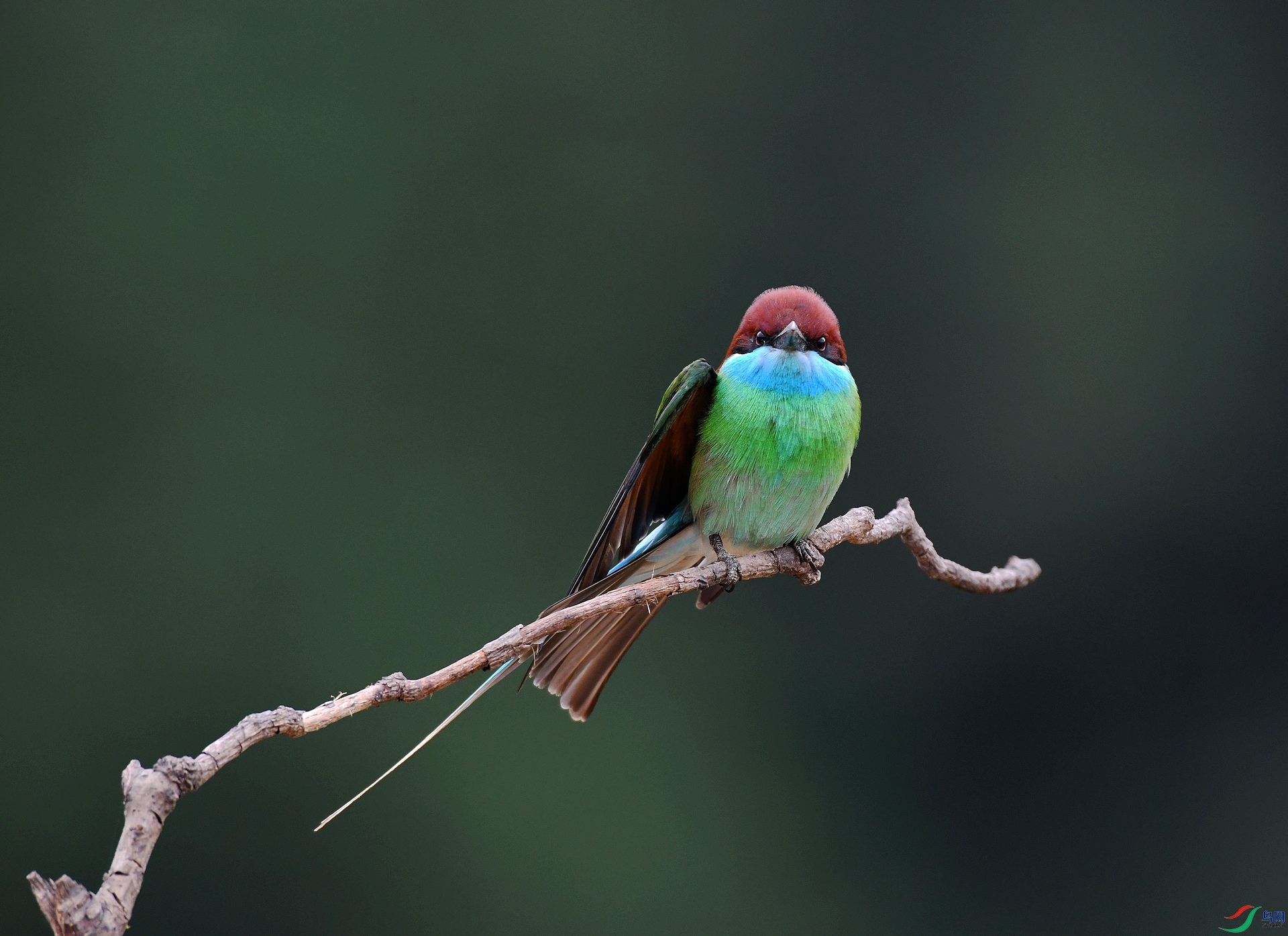 DSC_8438.jpg