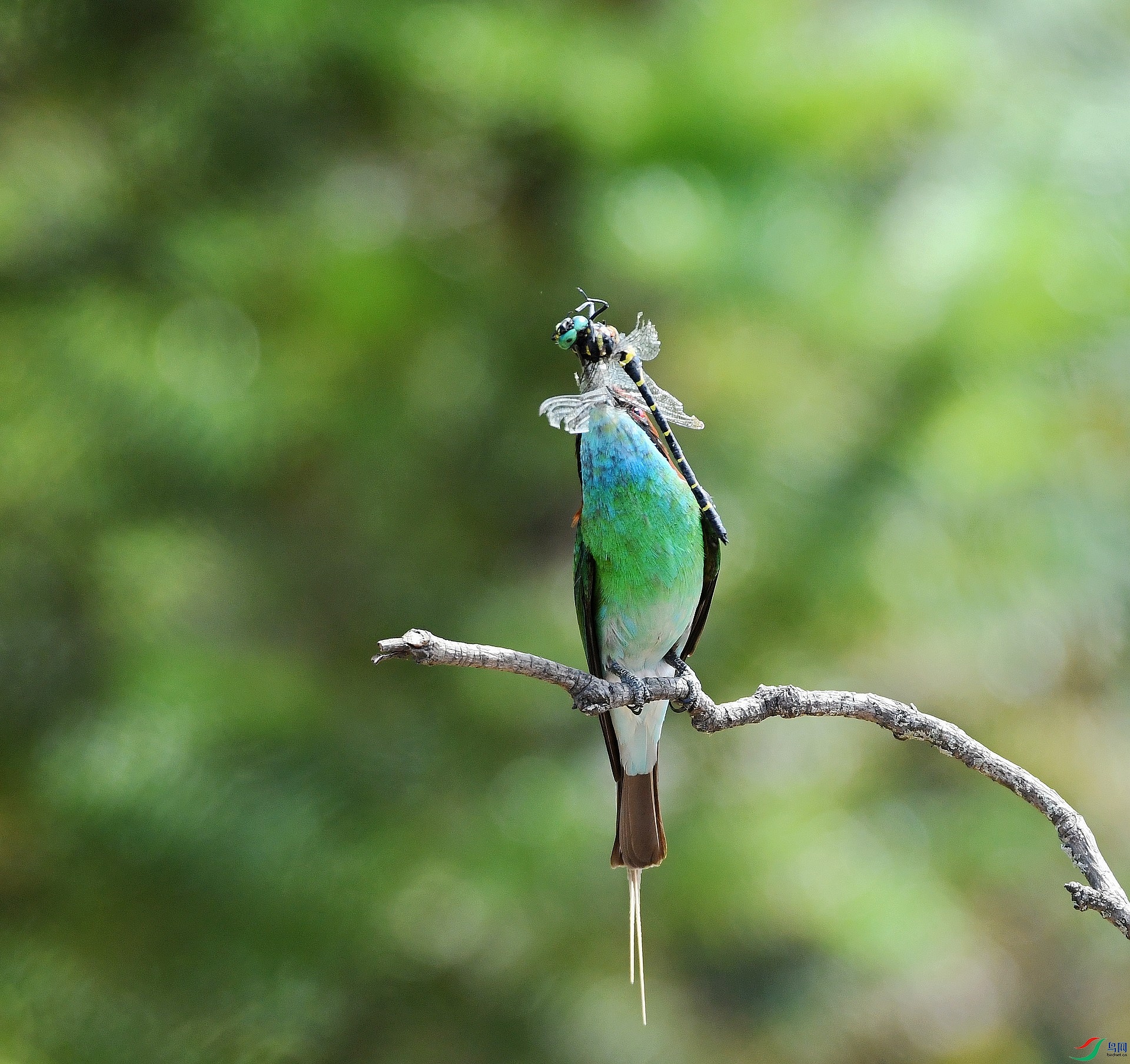 DSC_9008.jpg