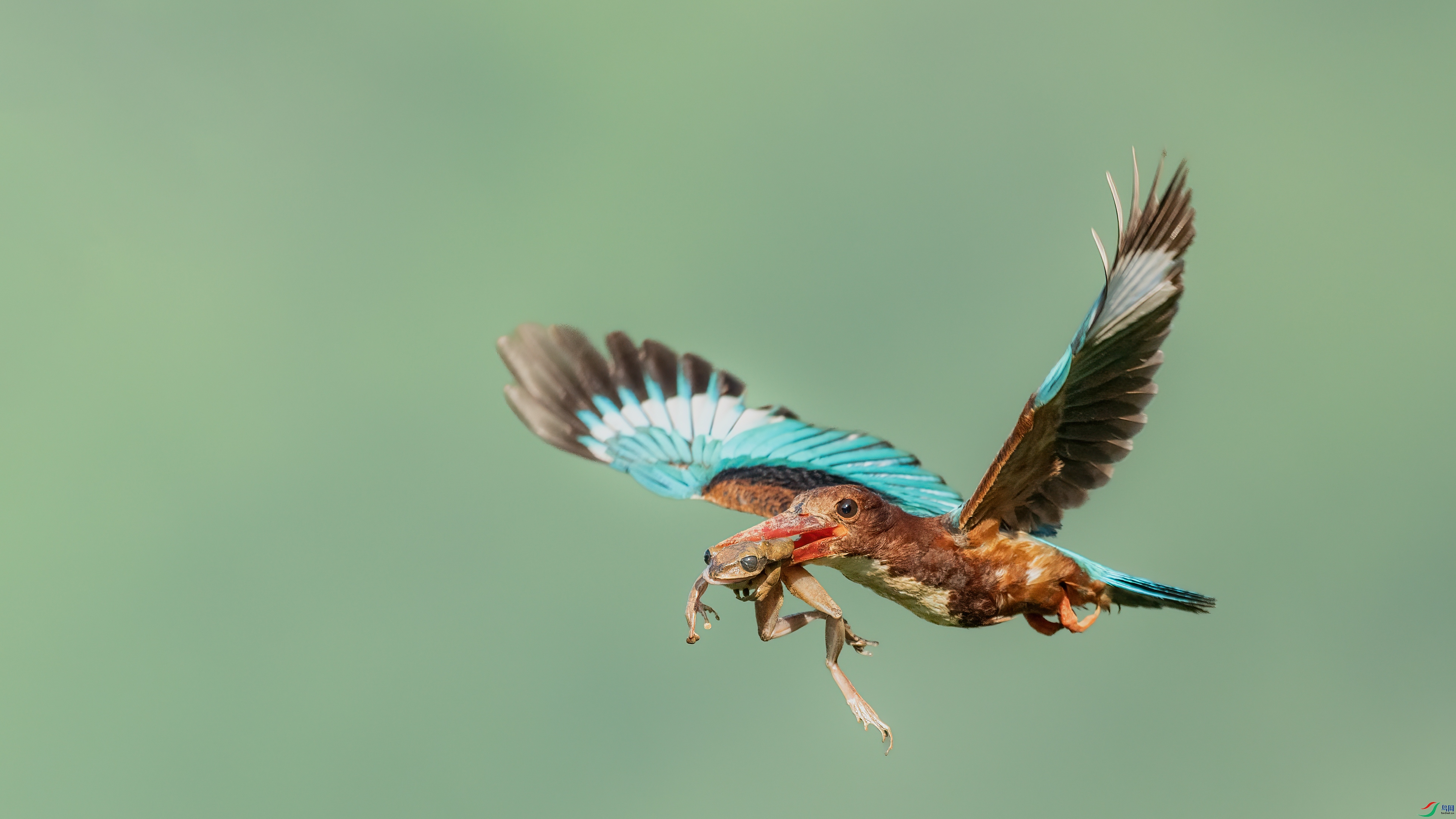 048A5627 ����.jpg