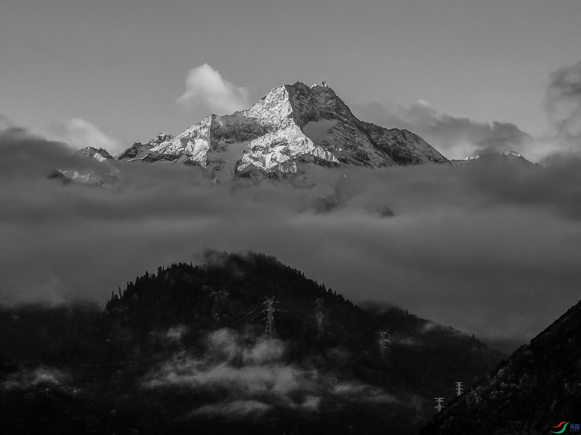 52df8bf403ead54a7dbb9562f630f945.jpg