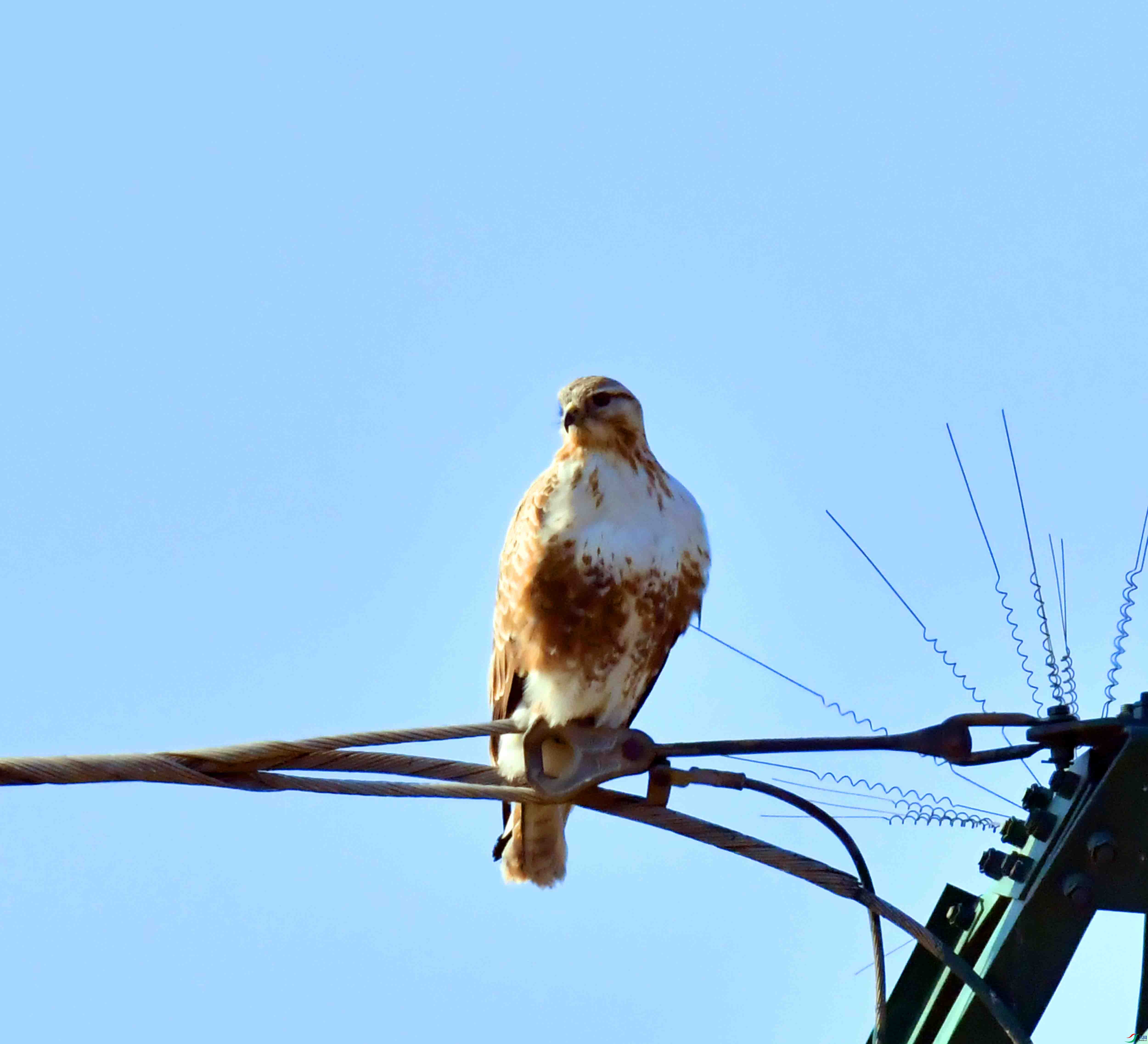 DSC_1509.JPG