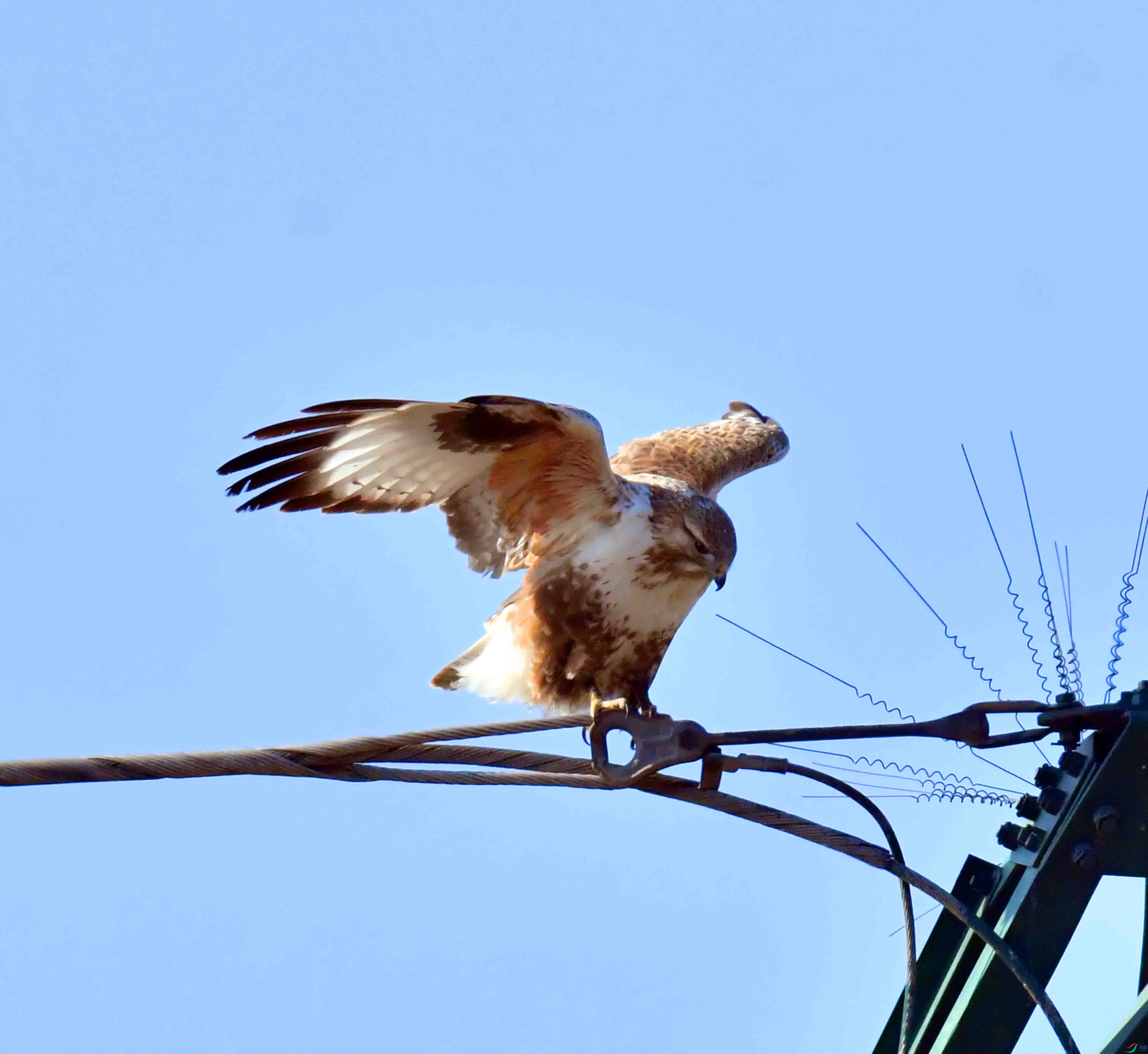 DSC_1505.JPG