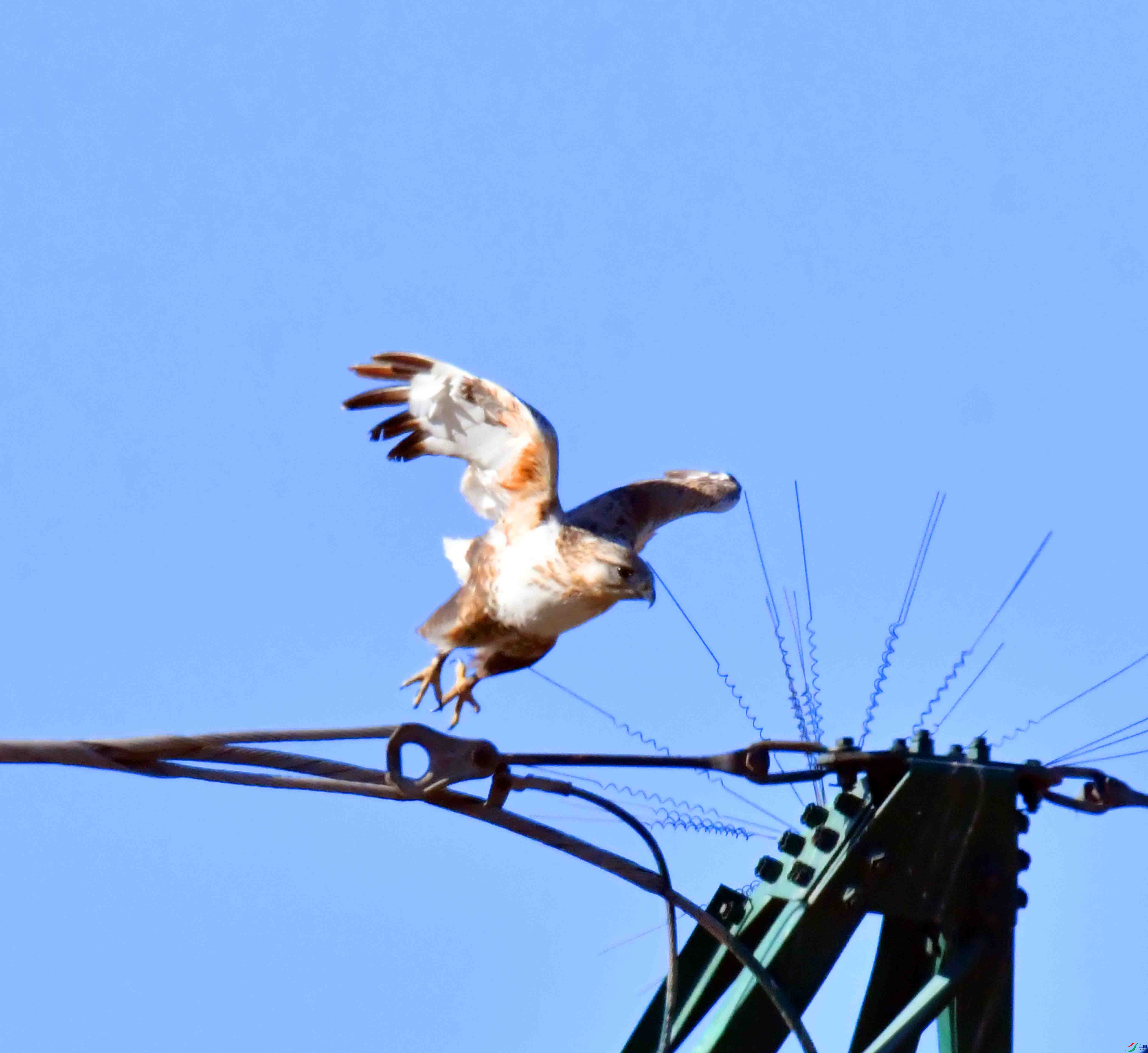 DSC_1944.JPG