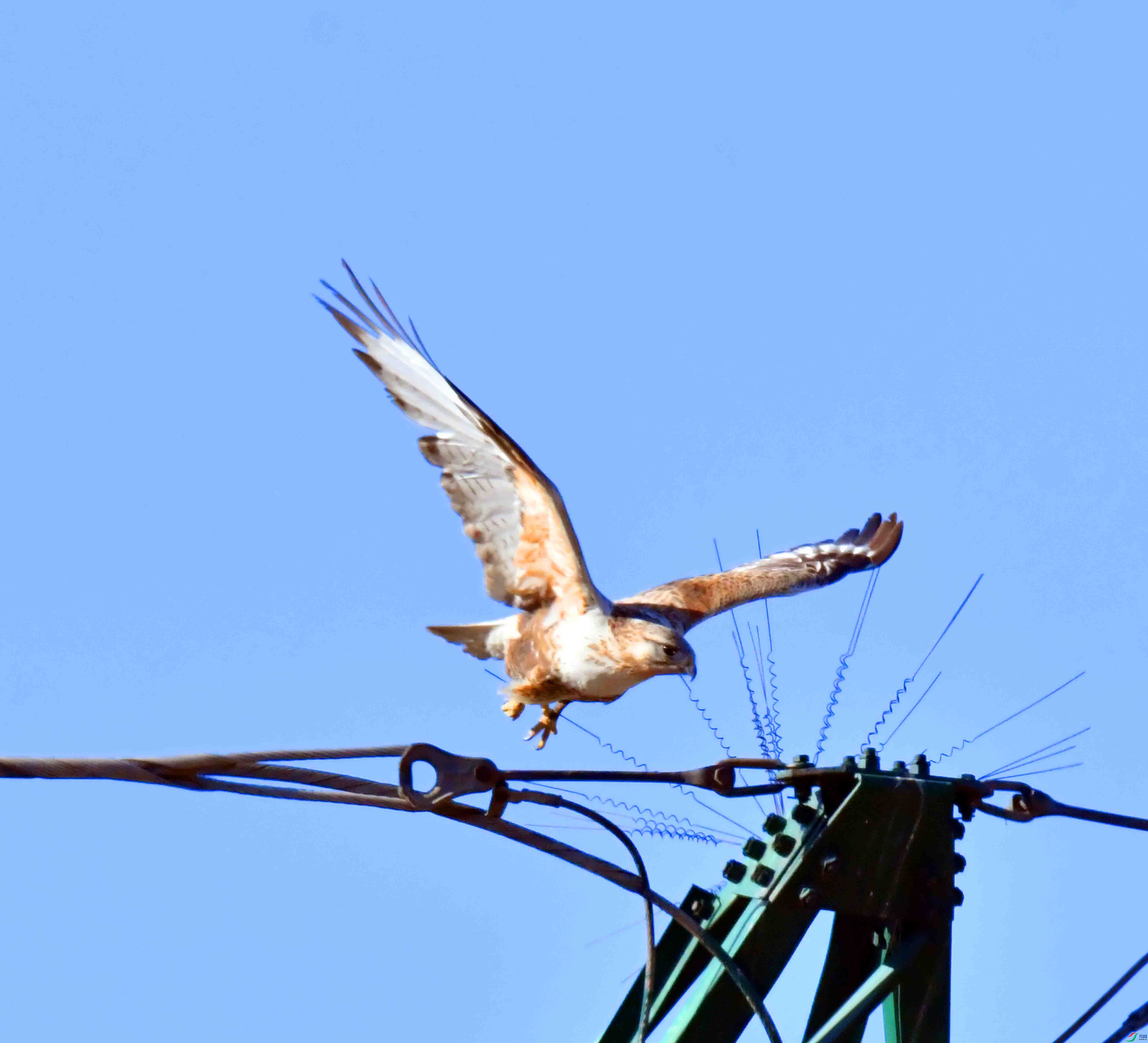 DSC_1945.JPG