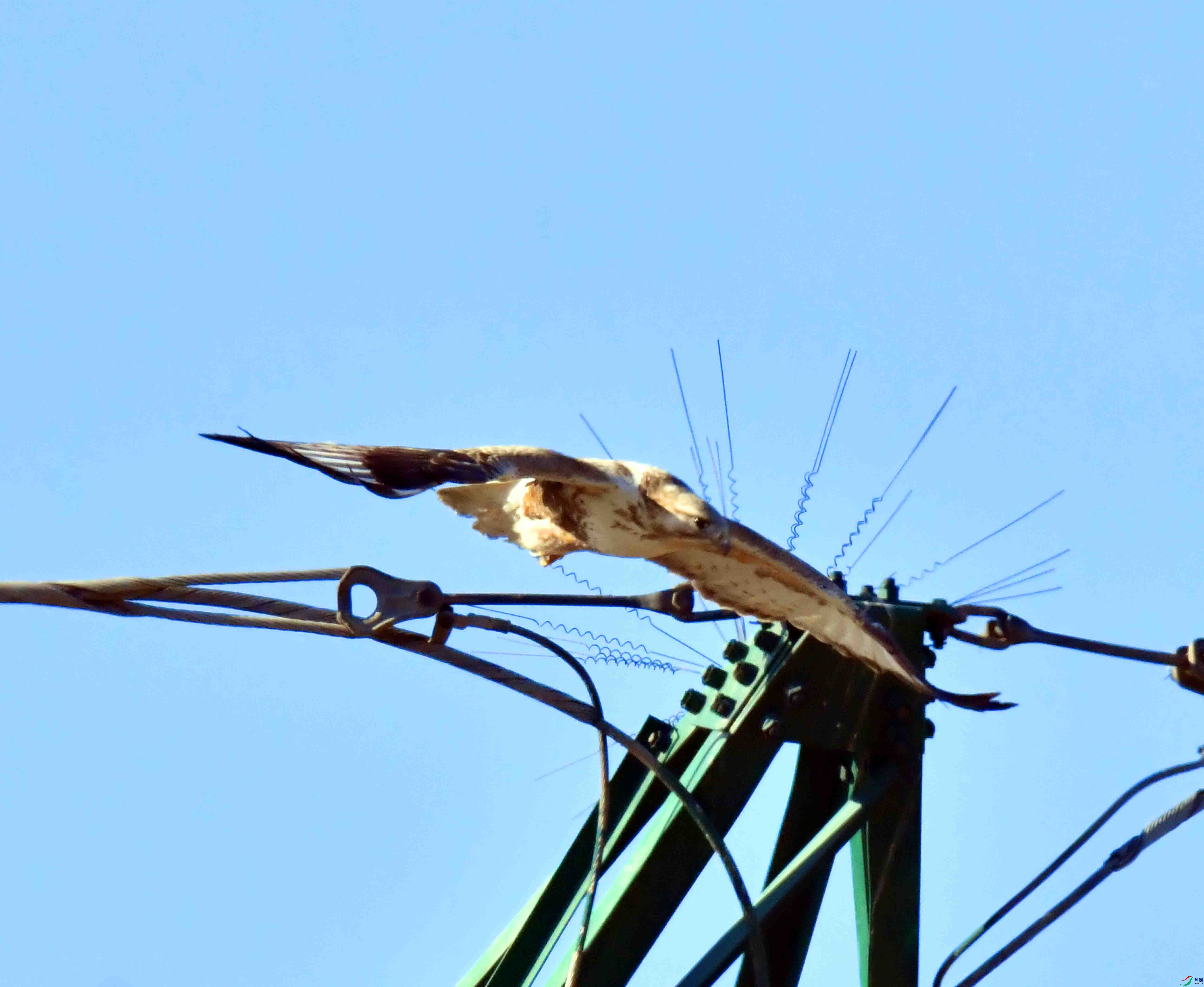 DSC_1946.JPG