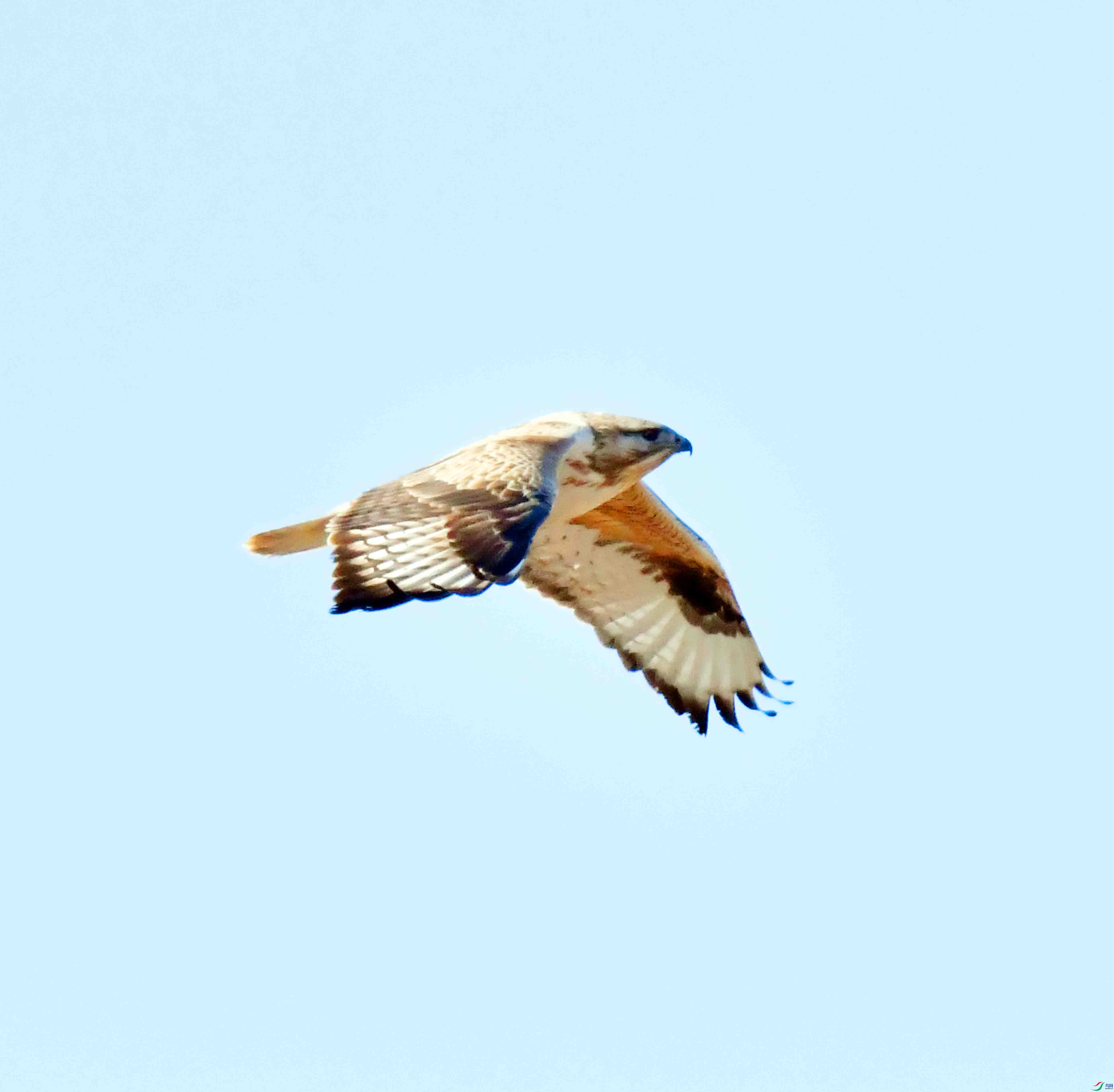 DSC_1955.JPG
