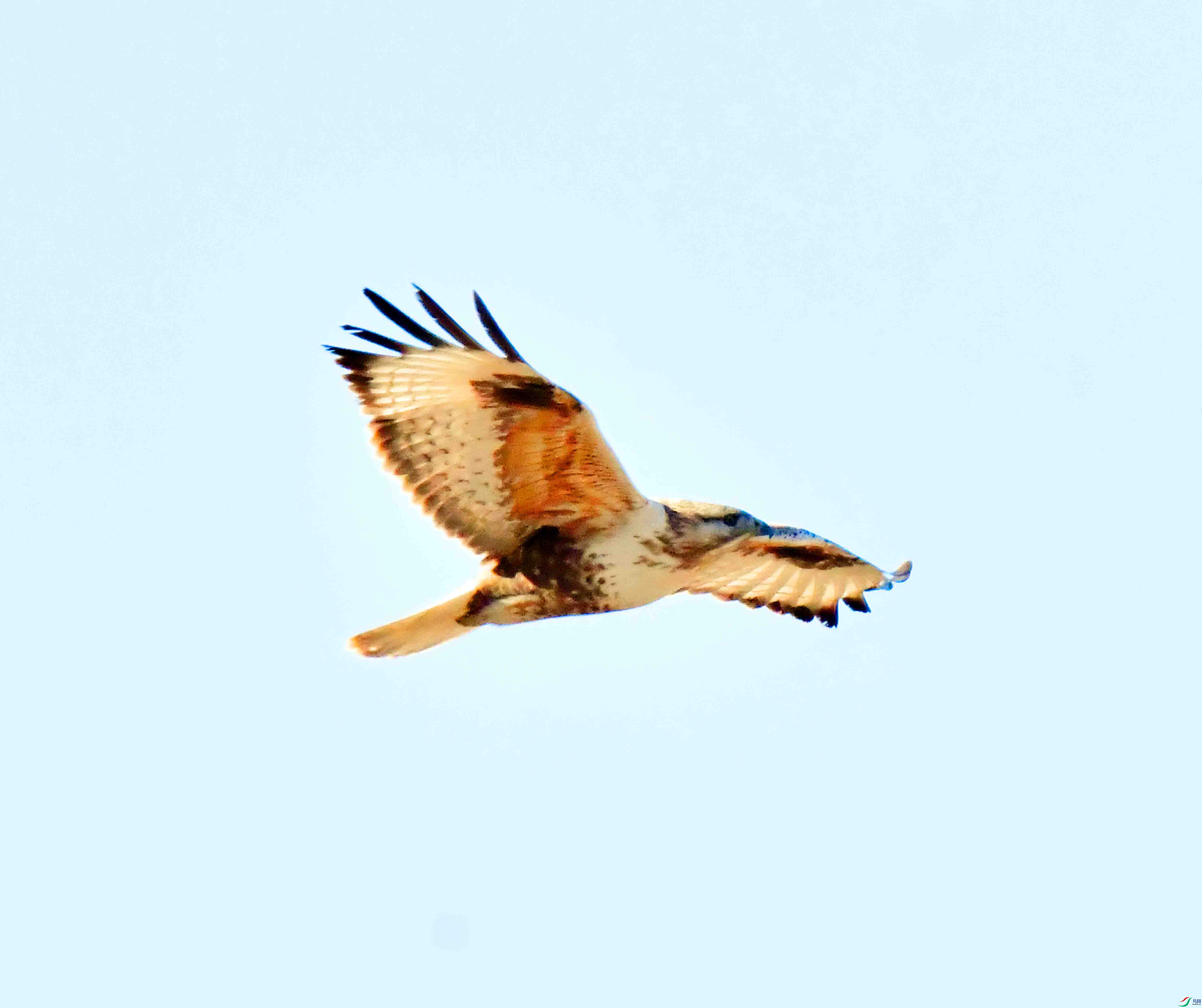 DSC_1959.JPG