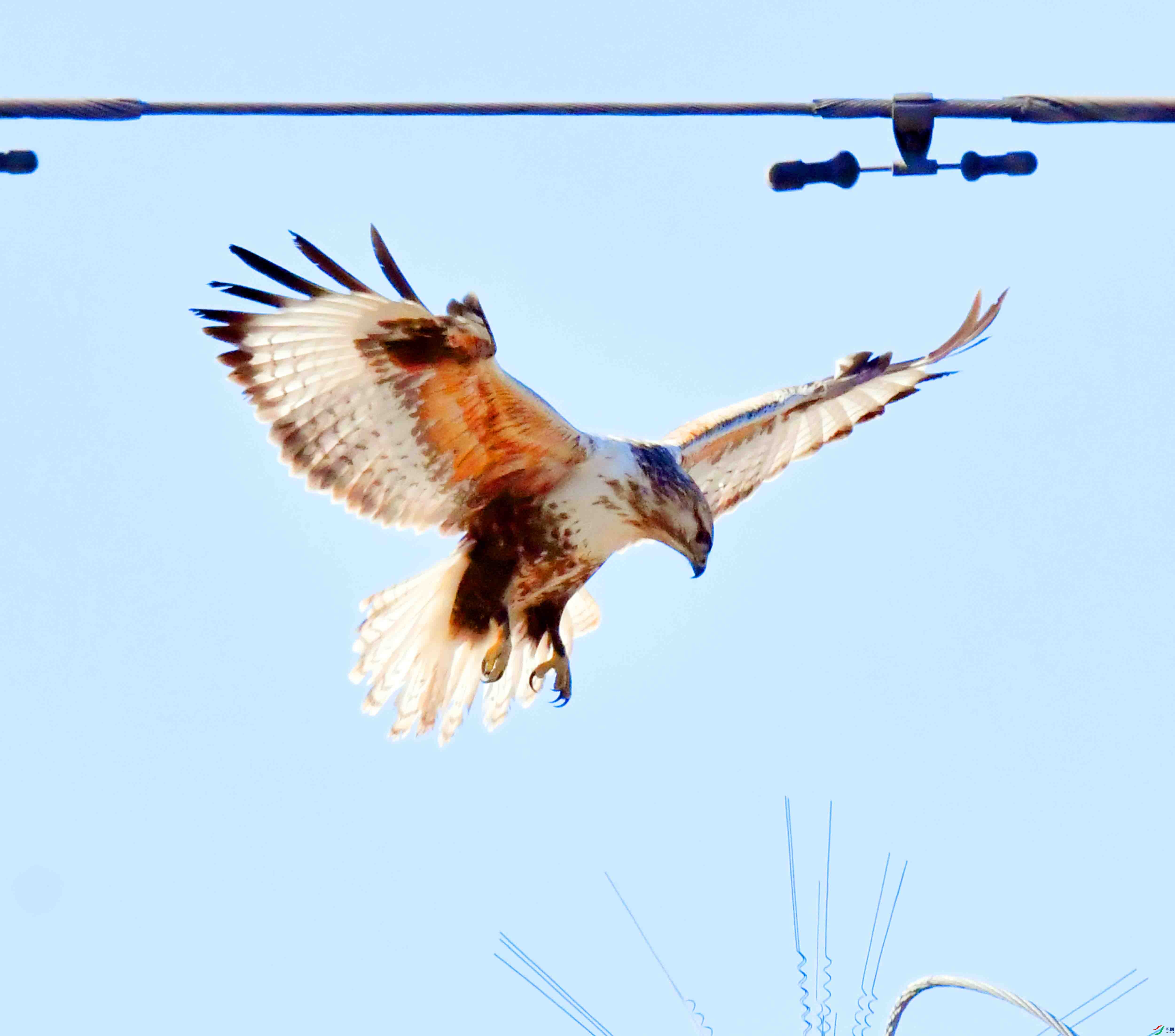 DSC_1969.JPG