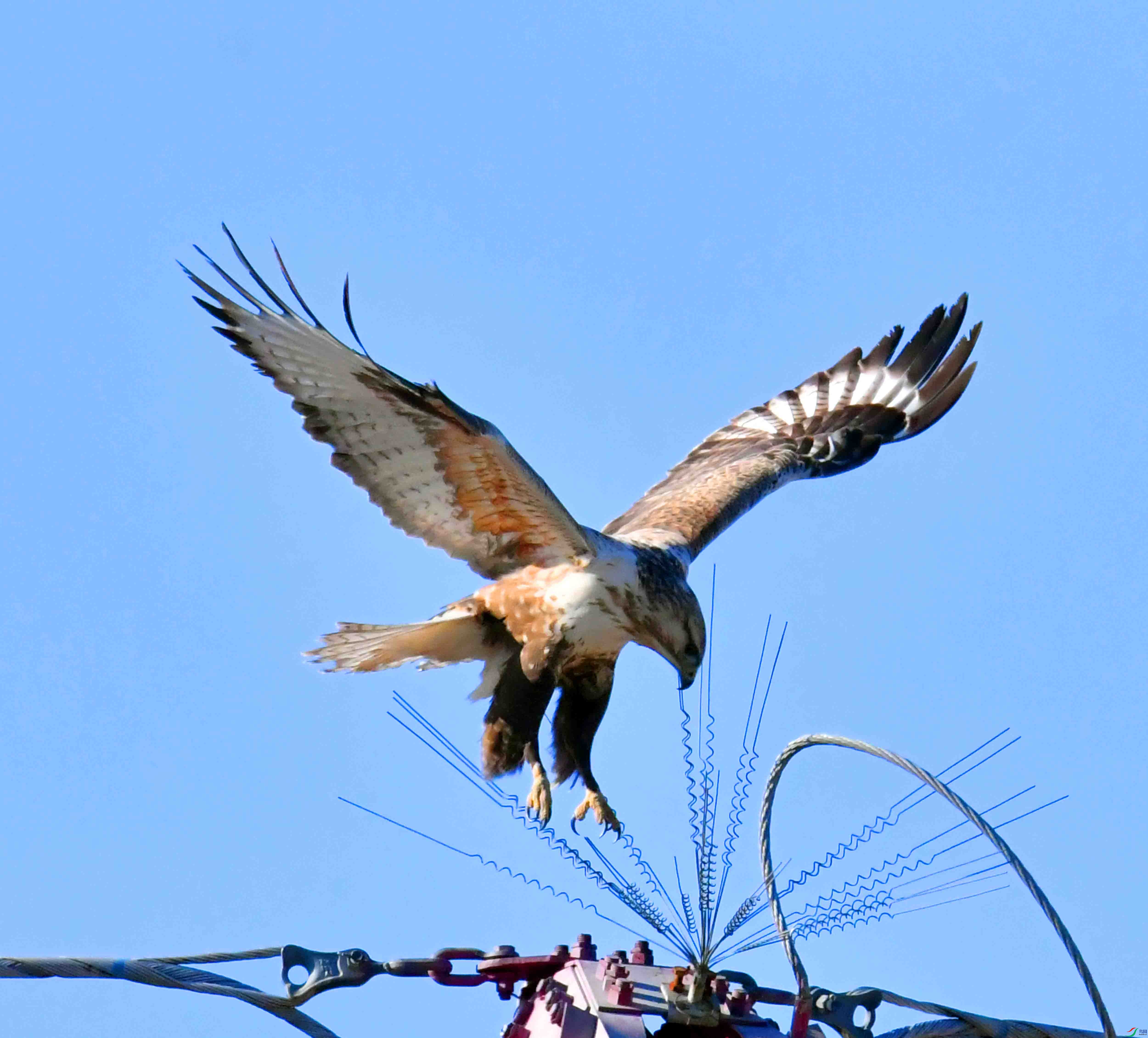 DSC_1970.JPG