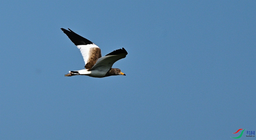 DSC_2608.JPG