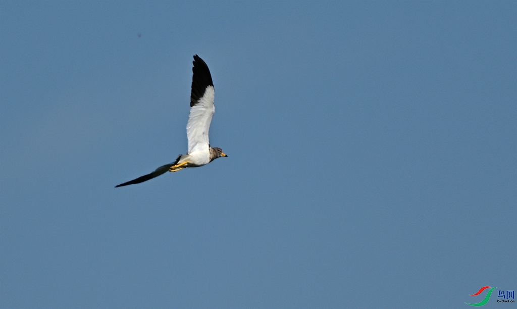 DSC_2617.JPG