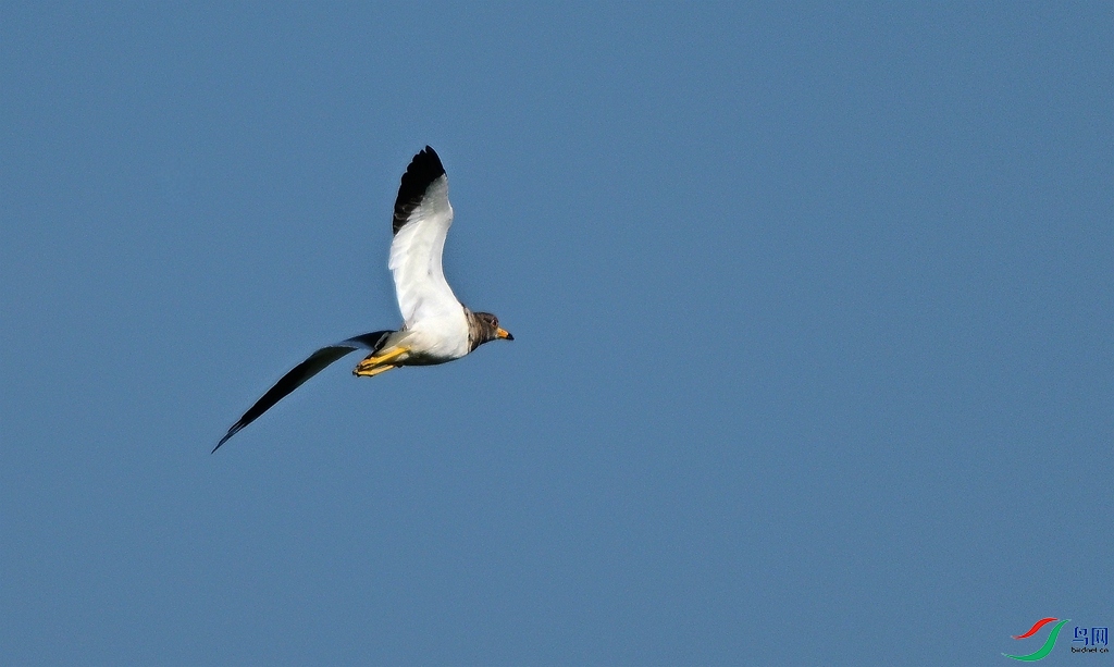 DSC_2619.JPG