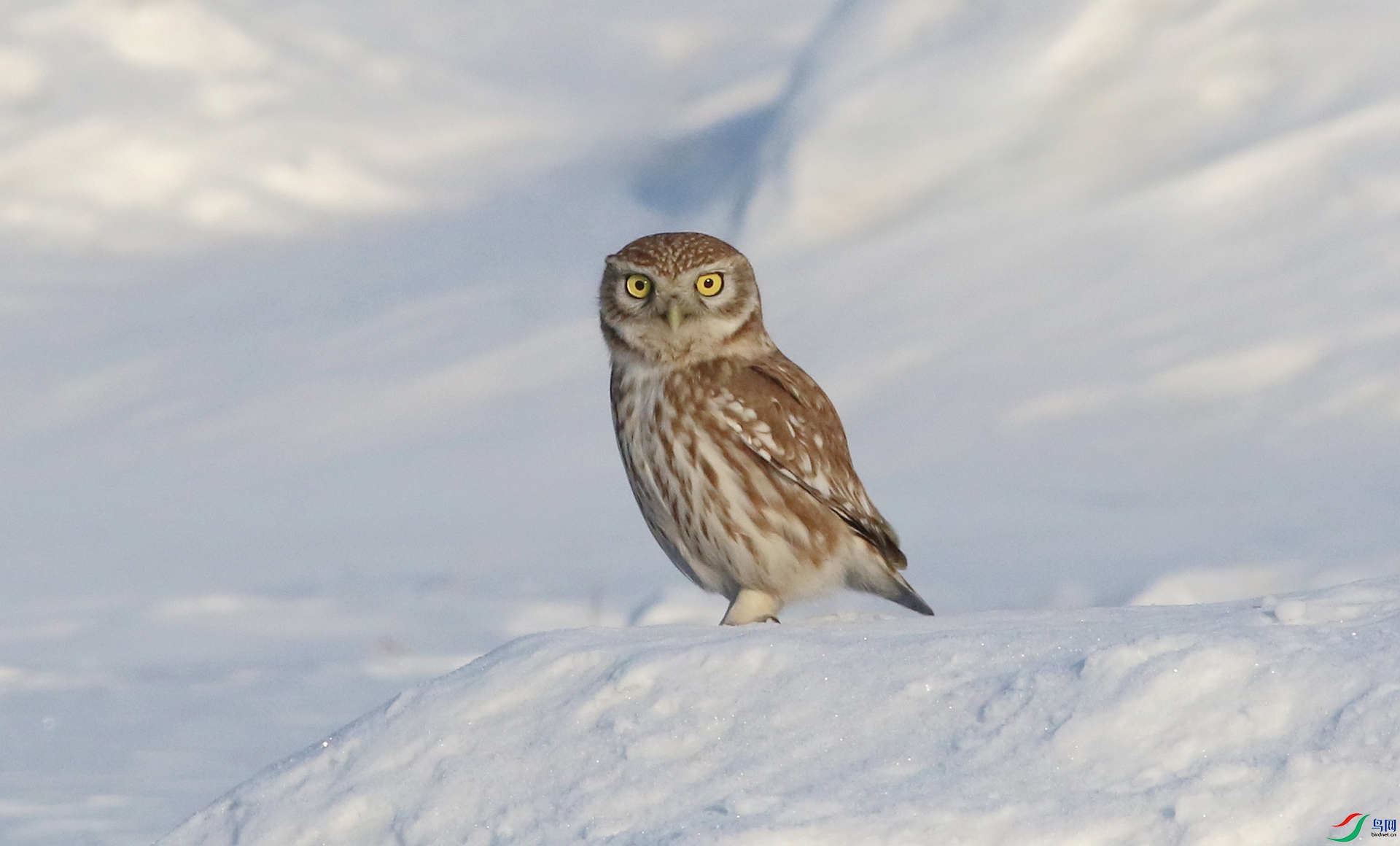 0G1A7920 ����.jpg