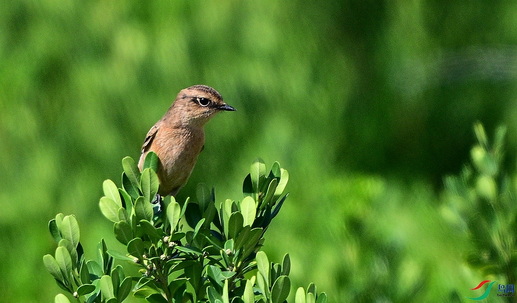 DSC_2721.JPG