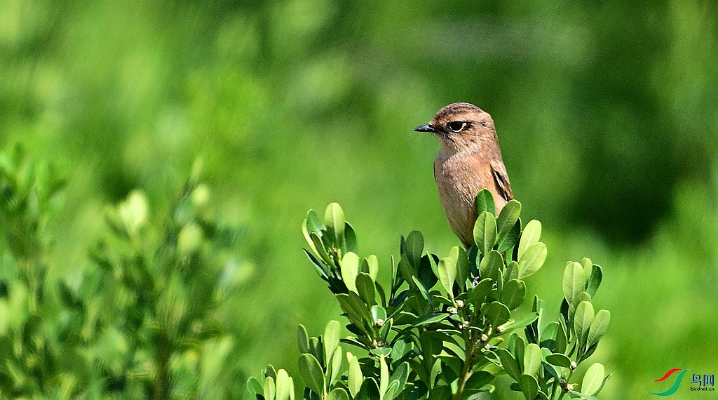 DSC_2728.JPG