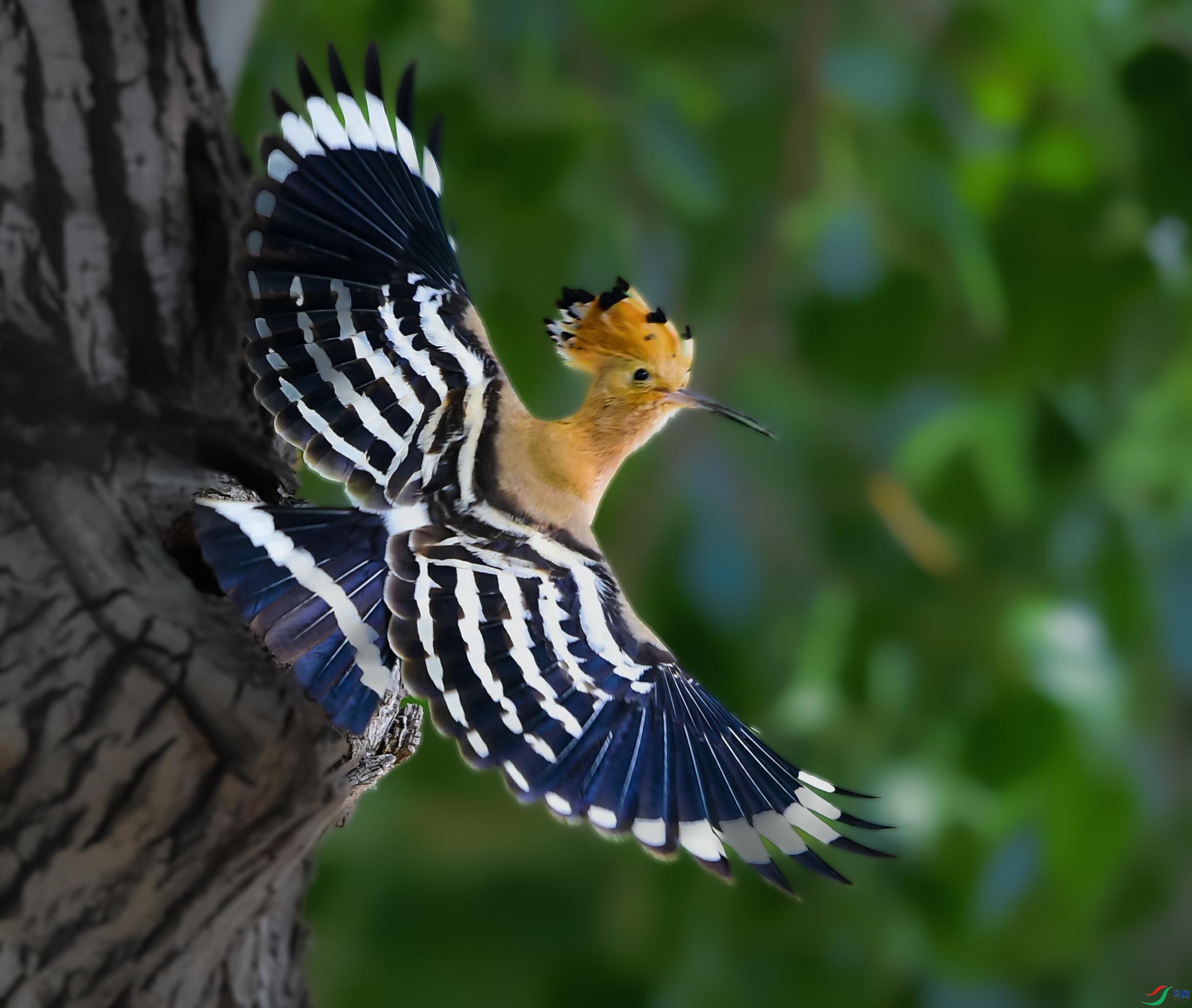 DSC_7906_���ٿ�ͼ(1)����.jpg