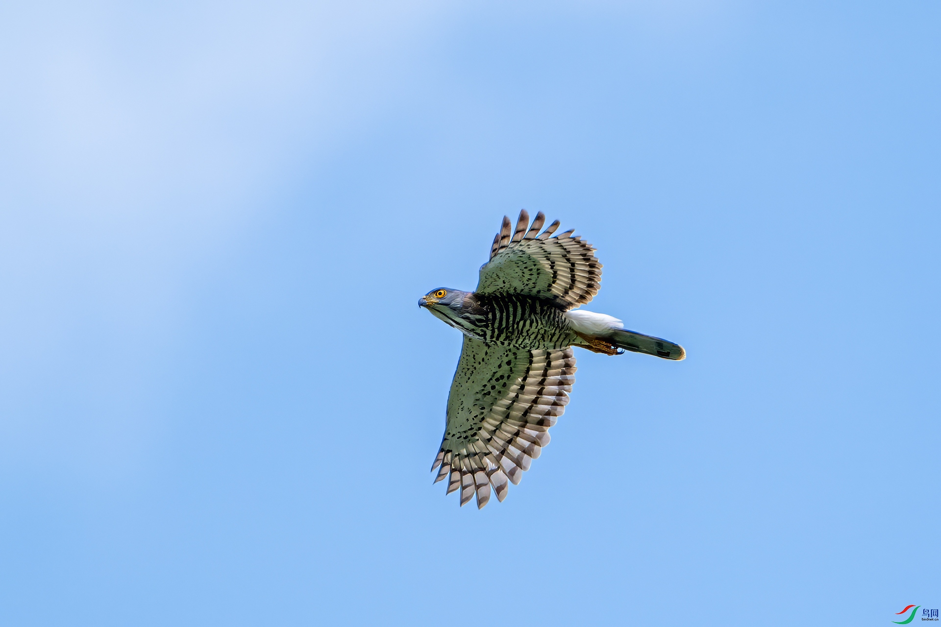DSC_0341.jpg