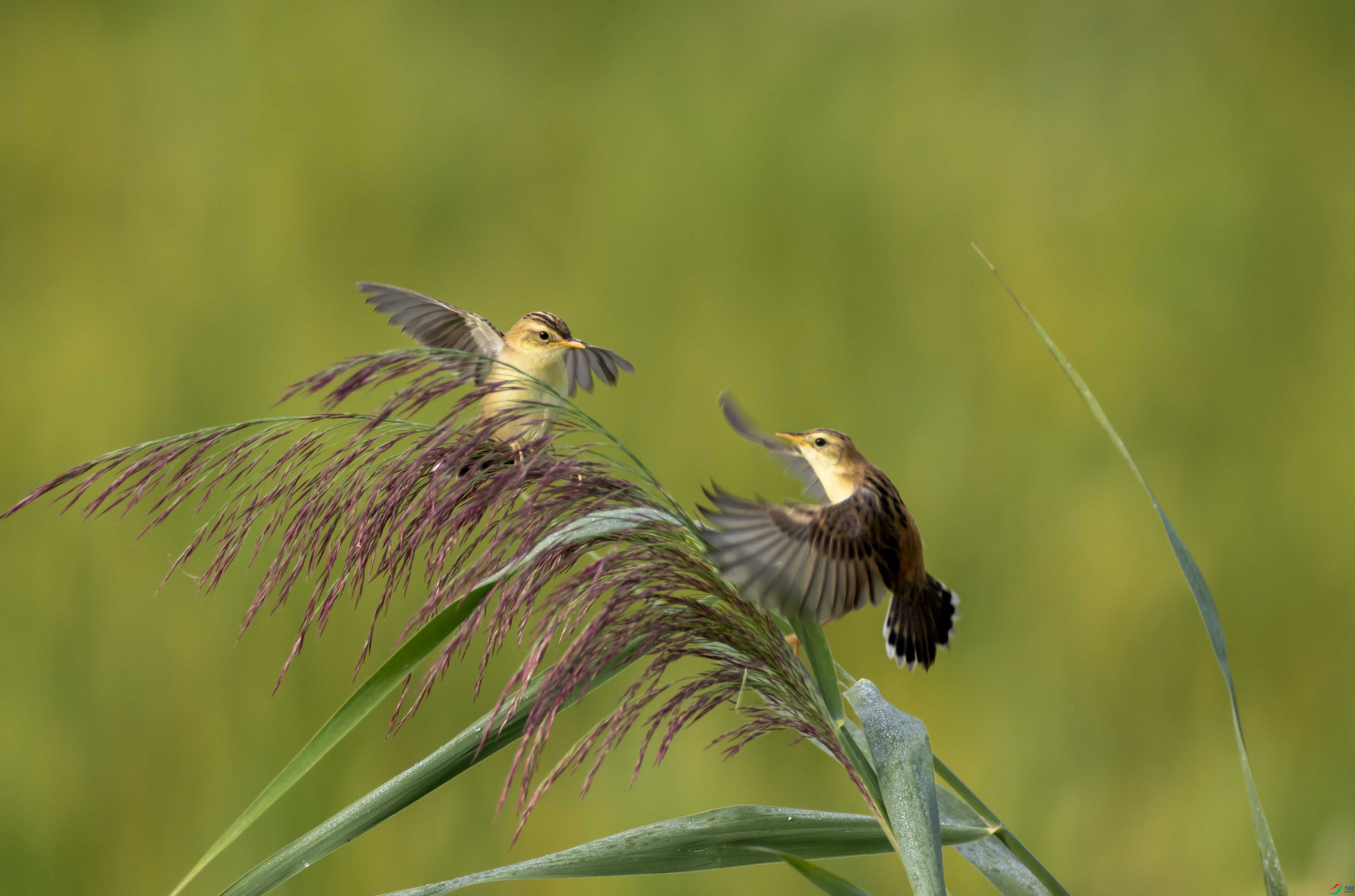 1-xt4L2A4227 ����.jpg