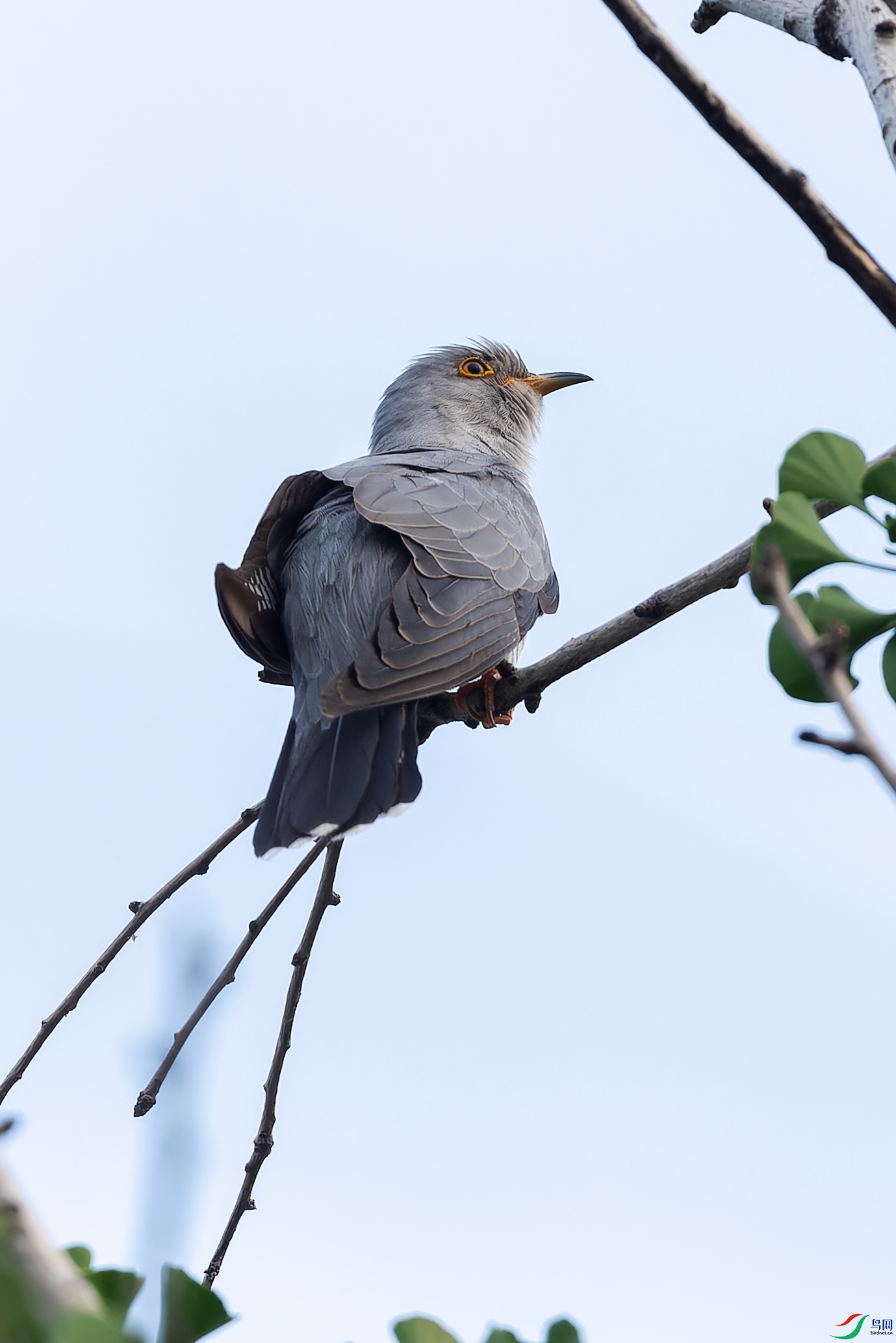 DSC_3761.jpg