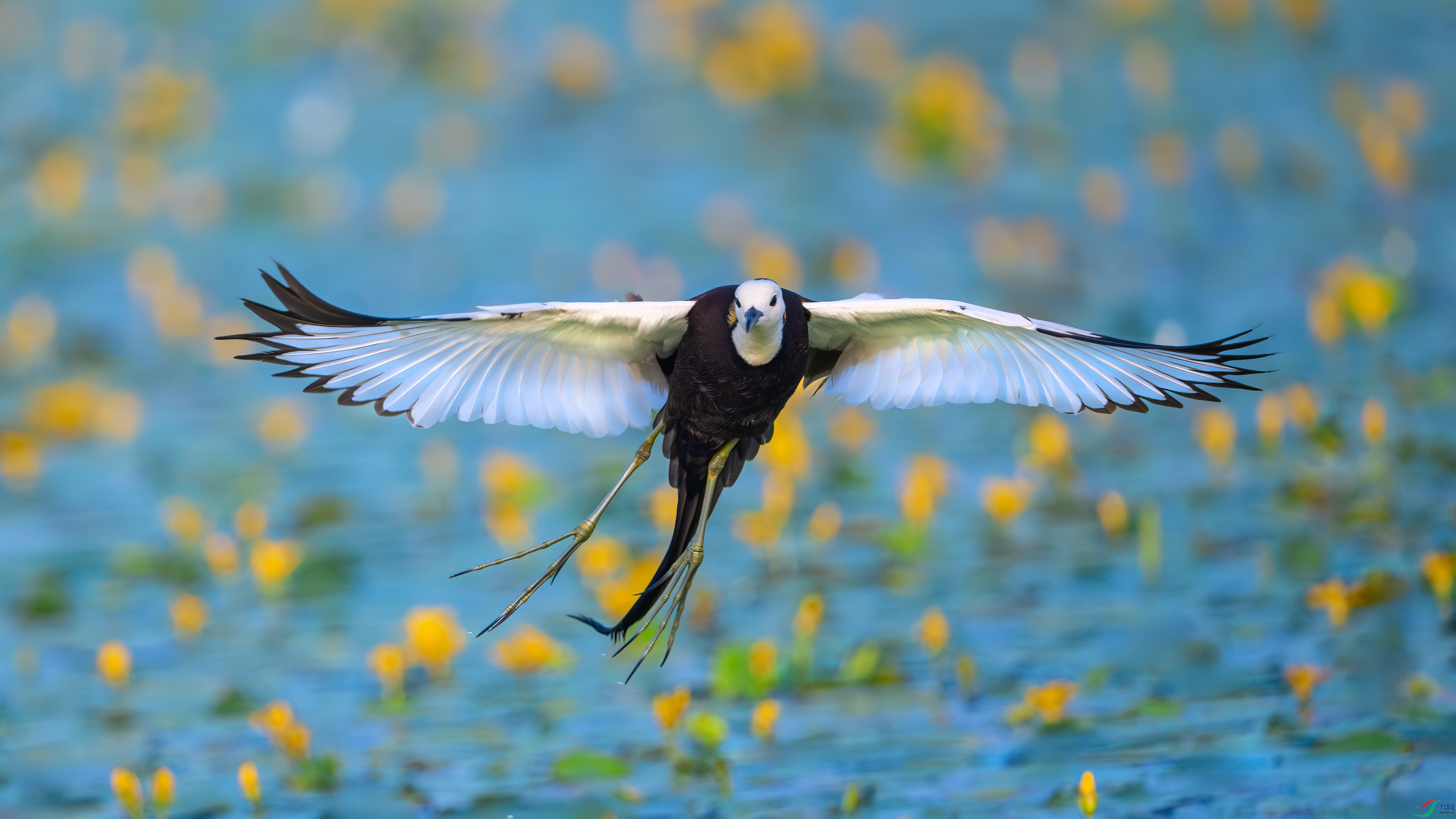 ��ƬDSC_3604-����ǿ-NR ����.jpg