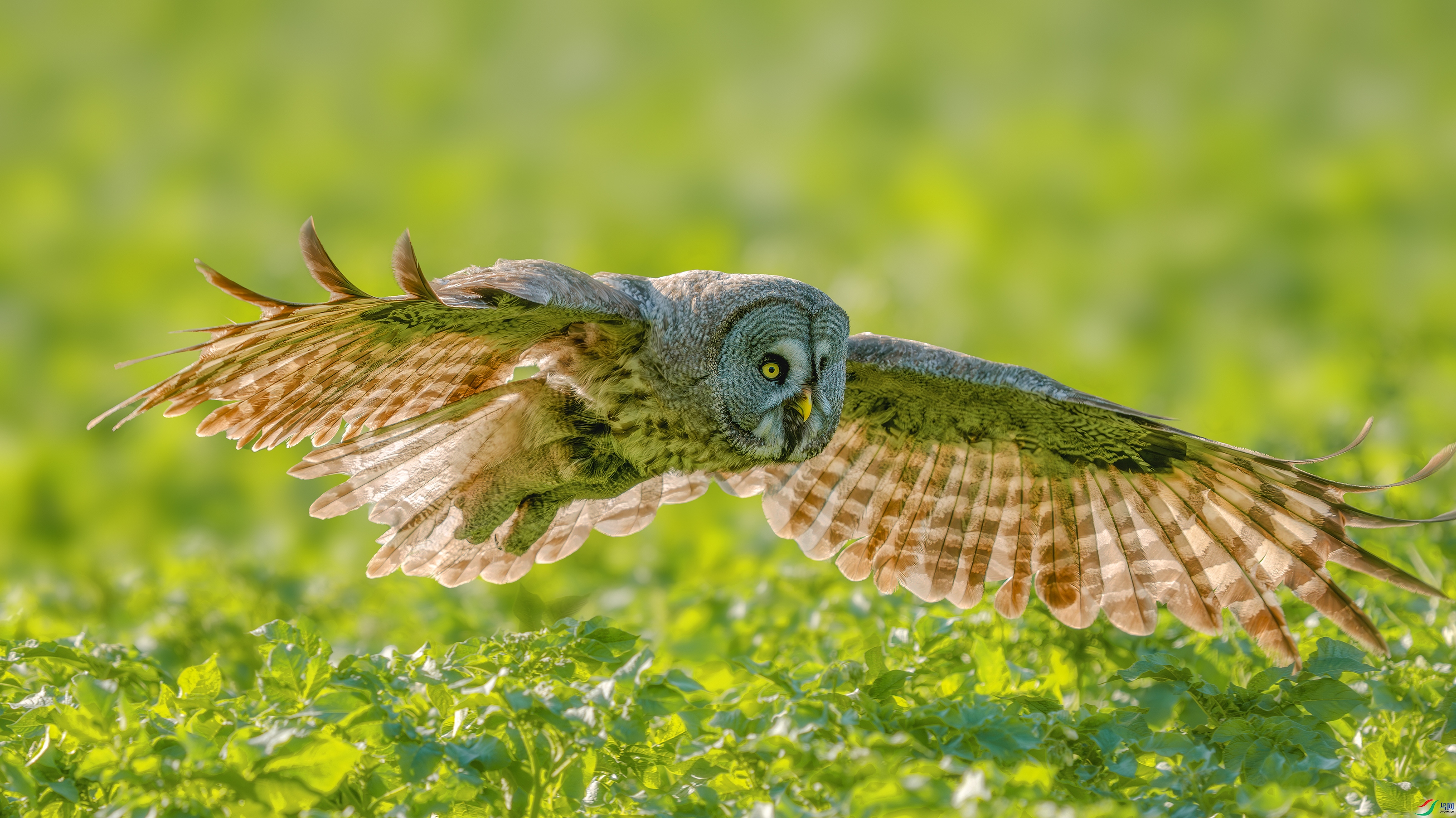 _DSC0030 ����.jpg