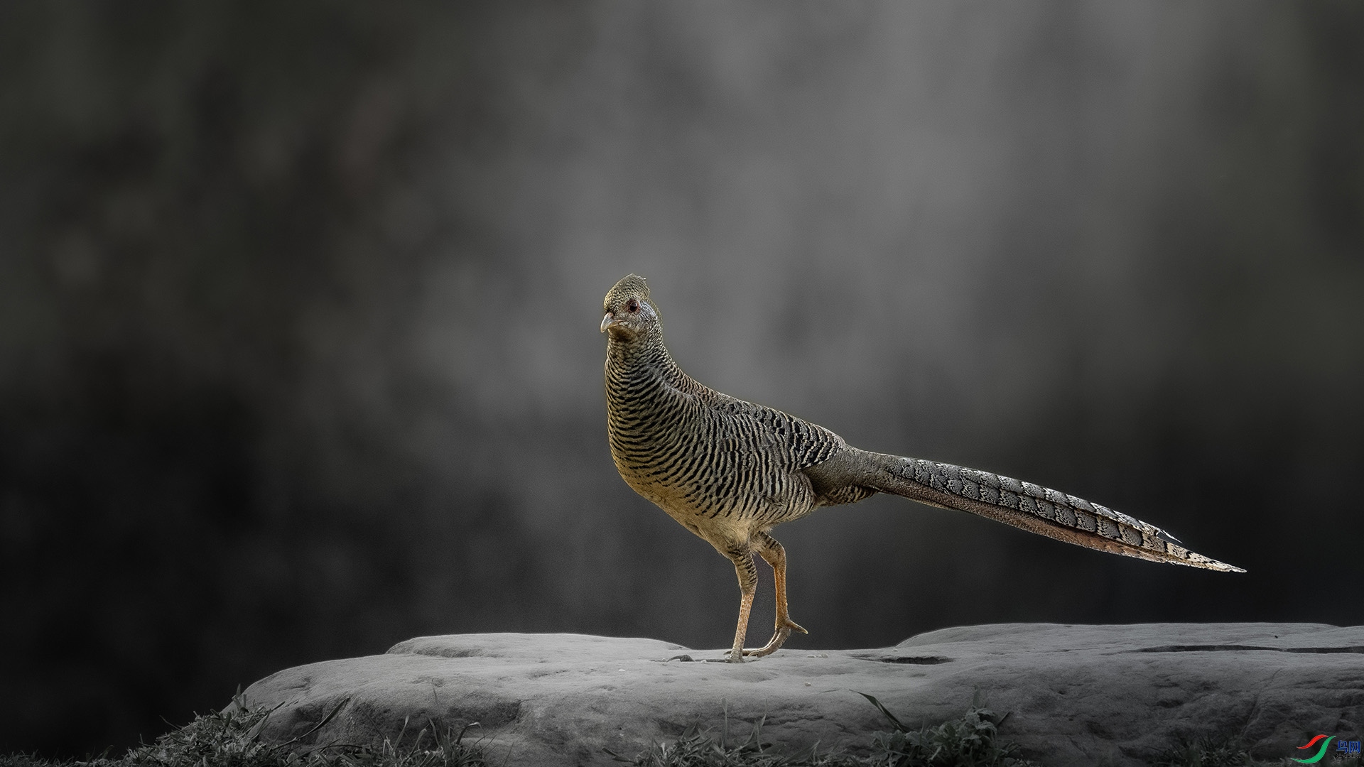 DSC_7189 ����.jpg