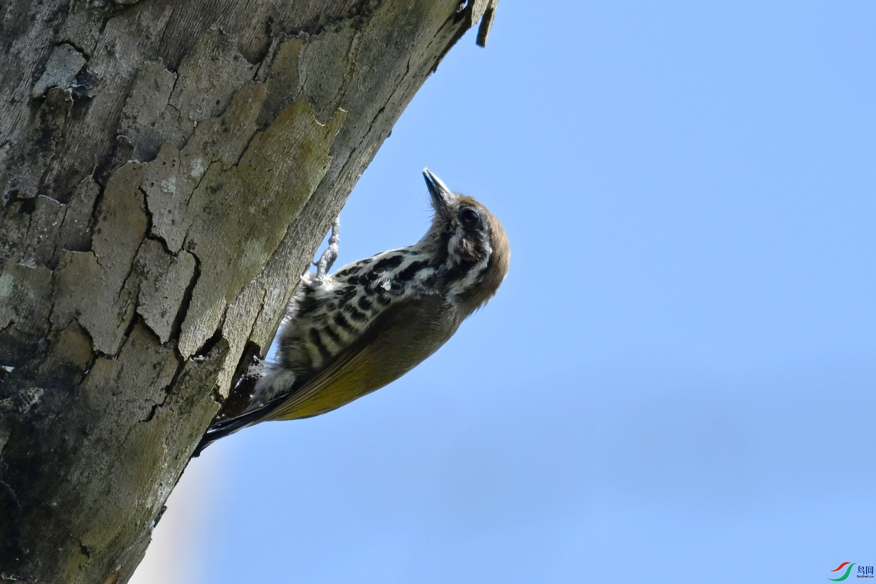 DSC_8953.JPG