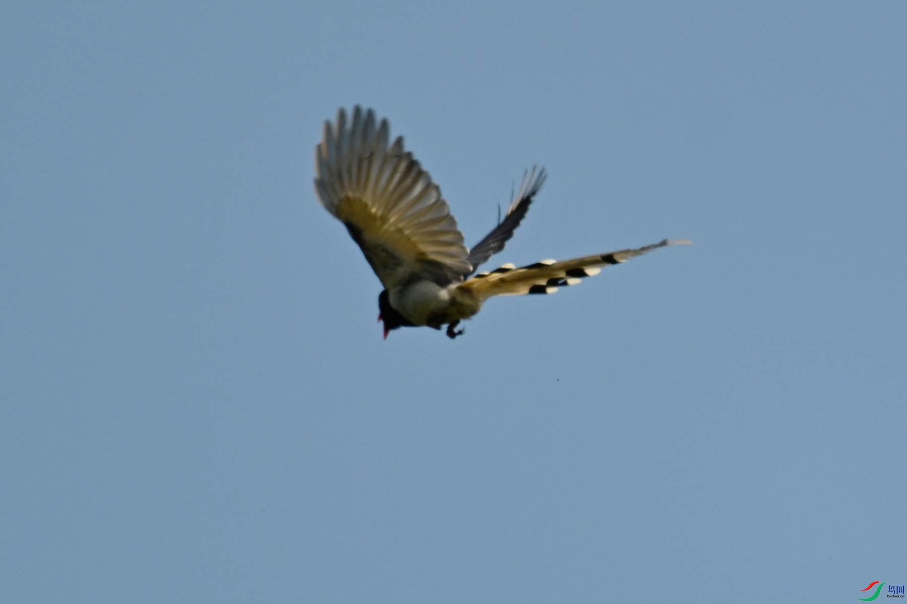 DSC_8978.JPG