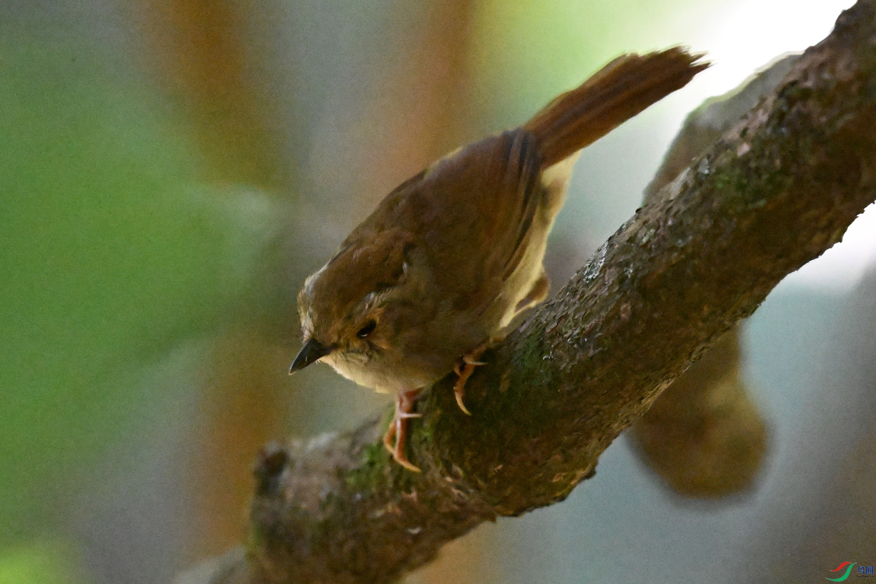 DSC_8886.JPG