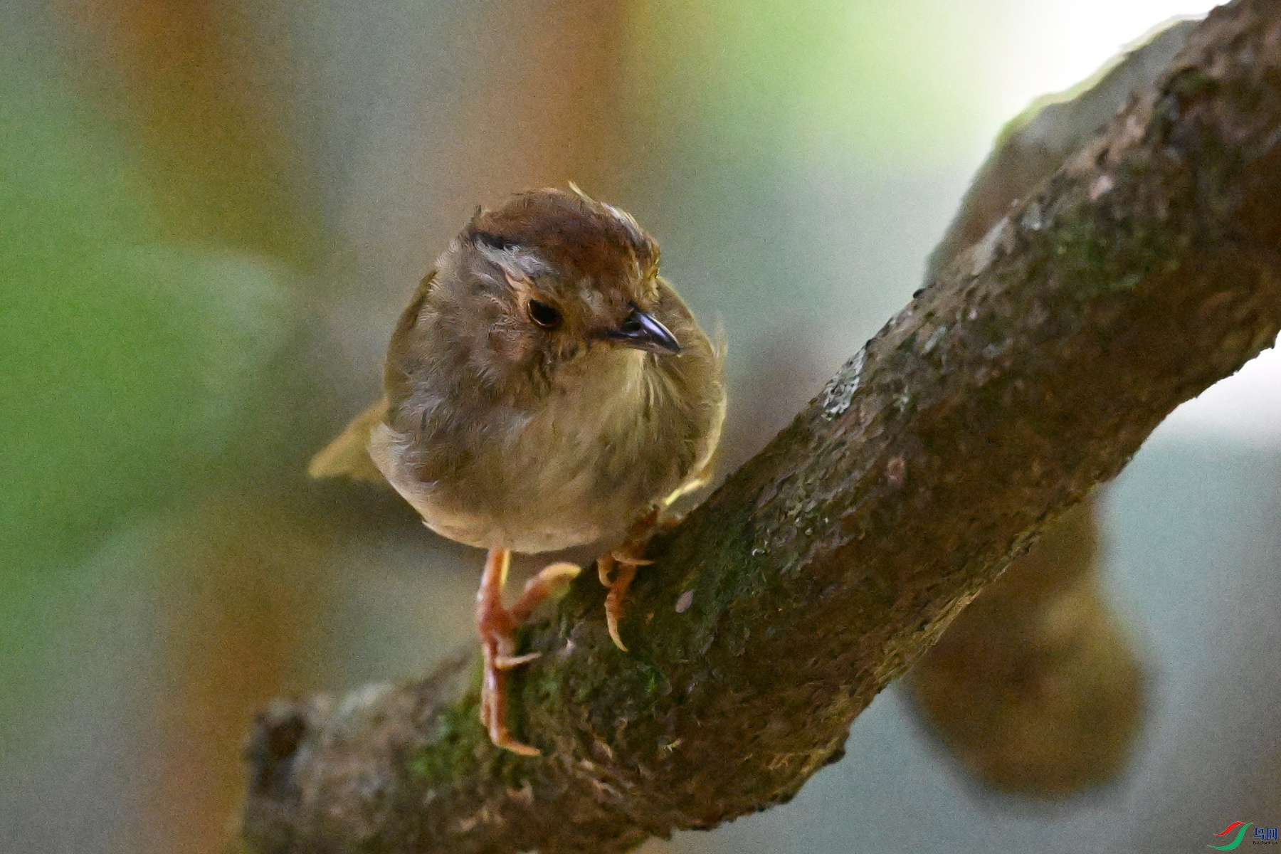 DSC_8889.JPG