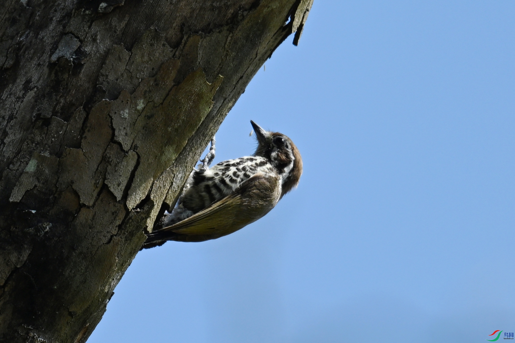 DSC_8972.JPG