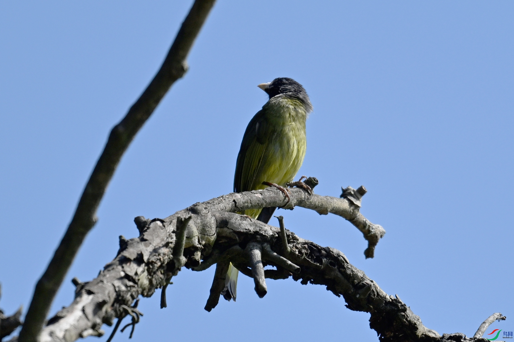 DSC_8966.JPG