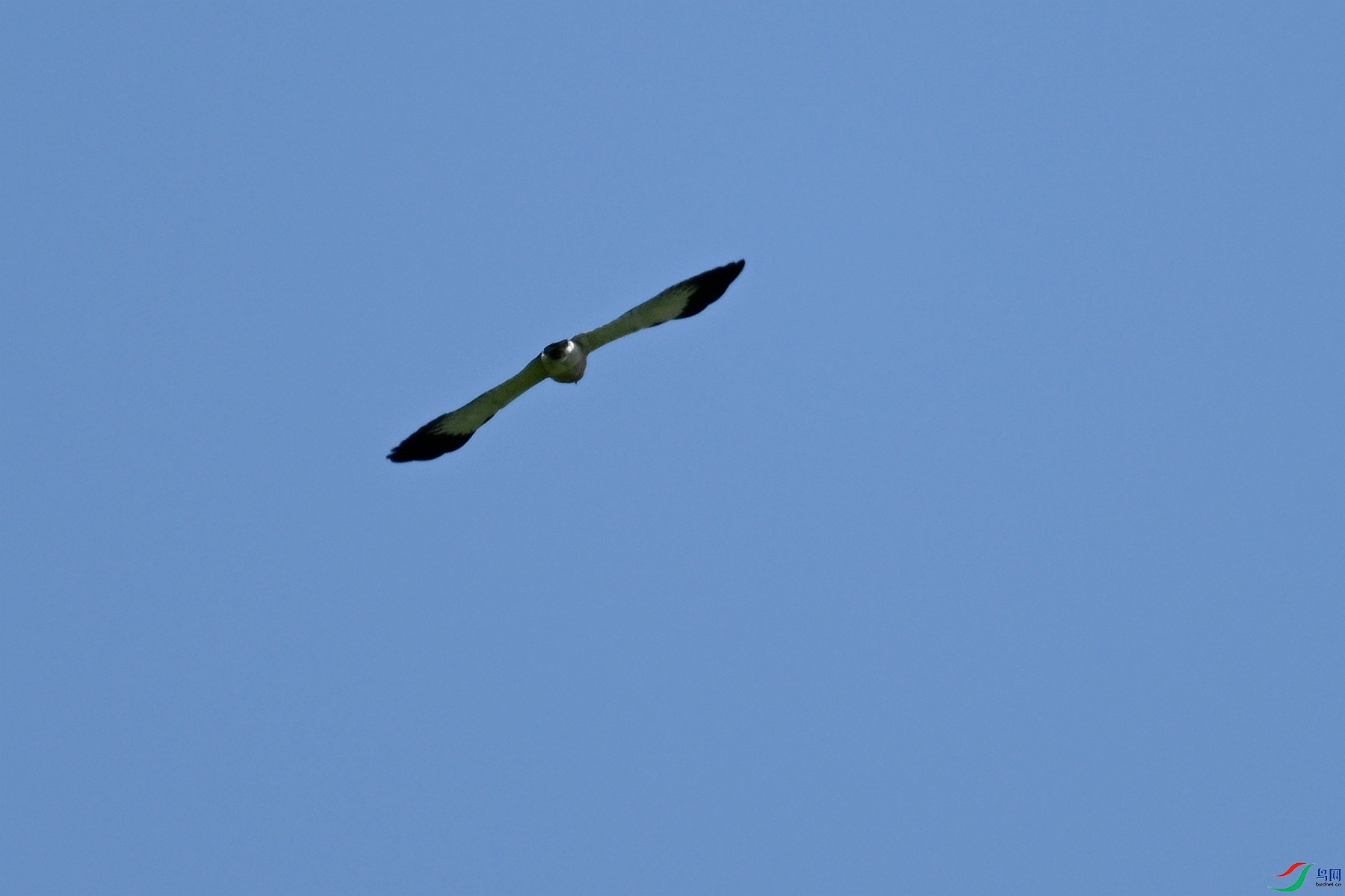 DSC_8996.JPG