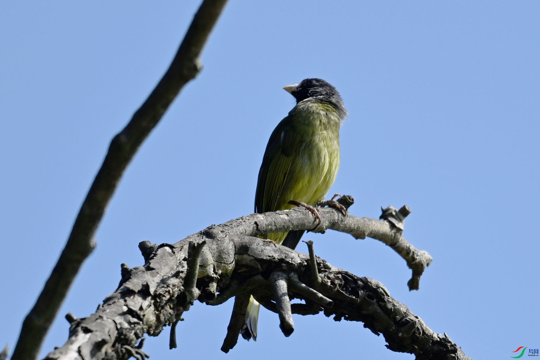 DSC_8967.JPG