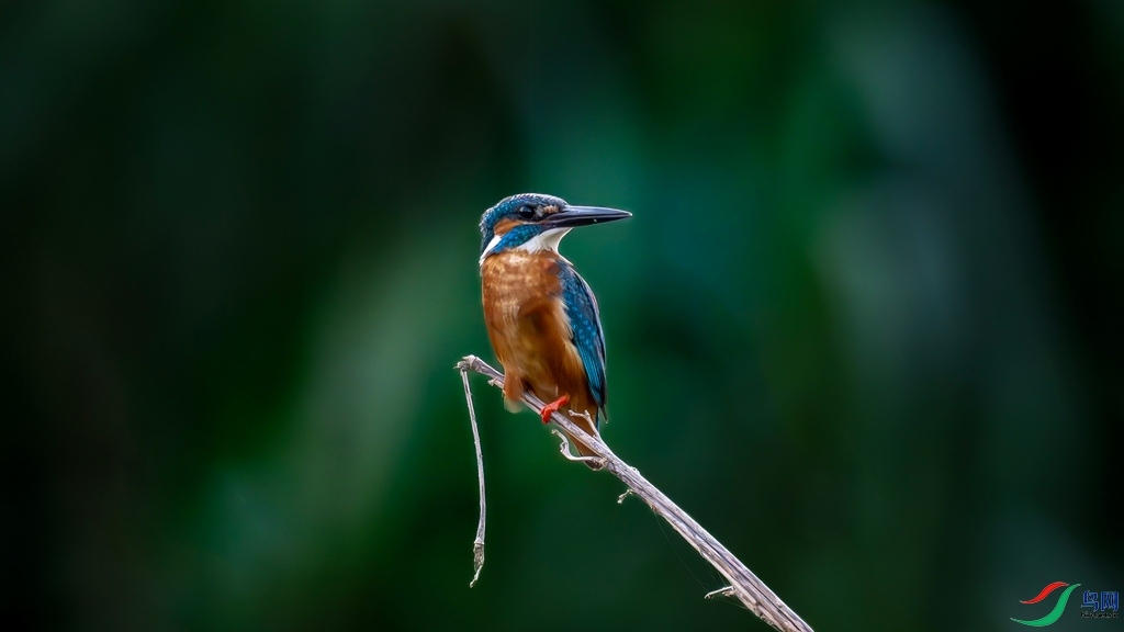 DSC_0149_����.jpg