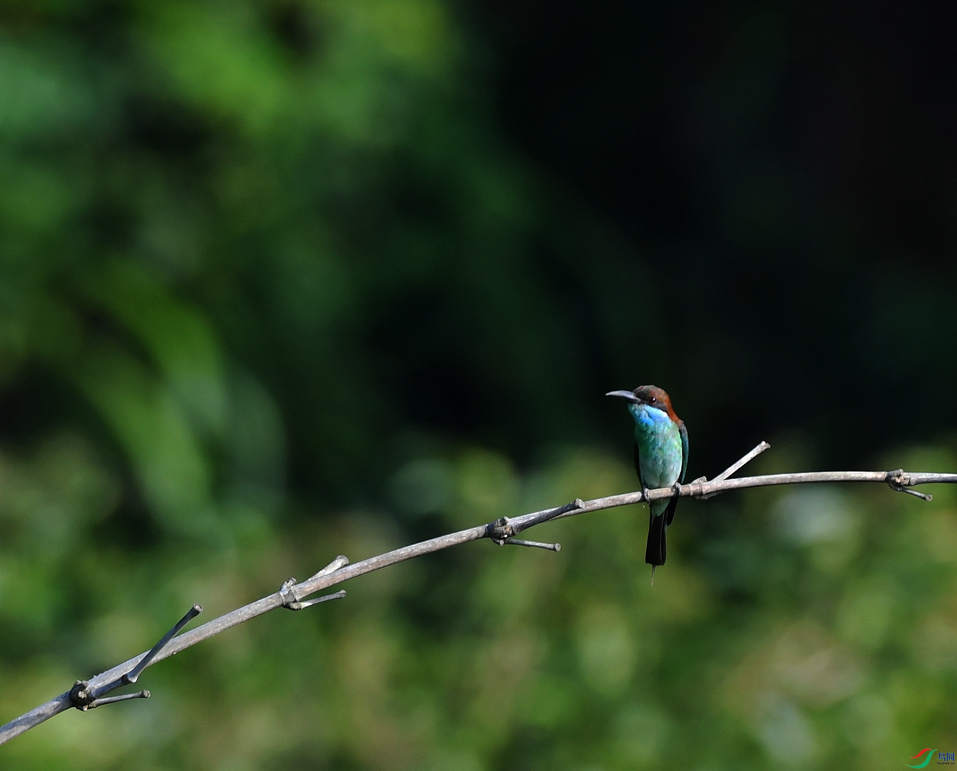 DSC_9543.jpg